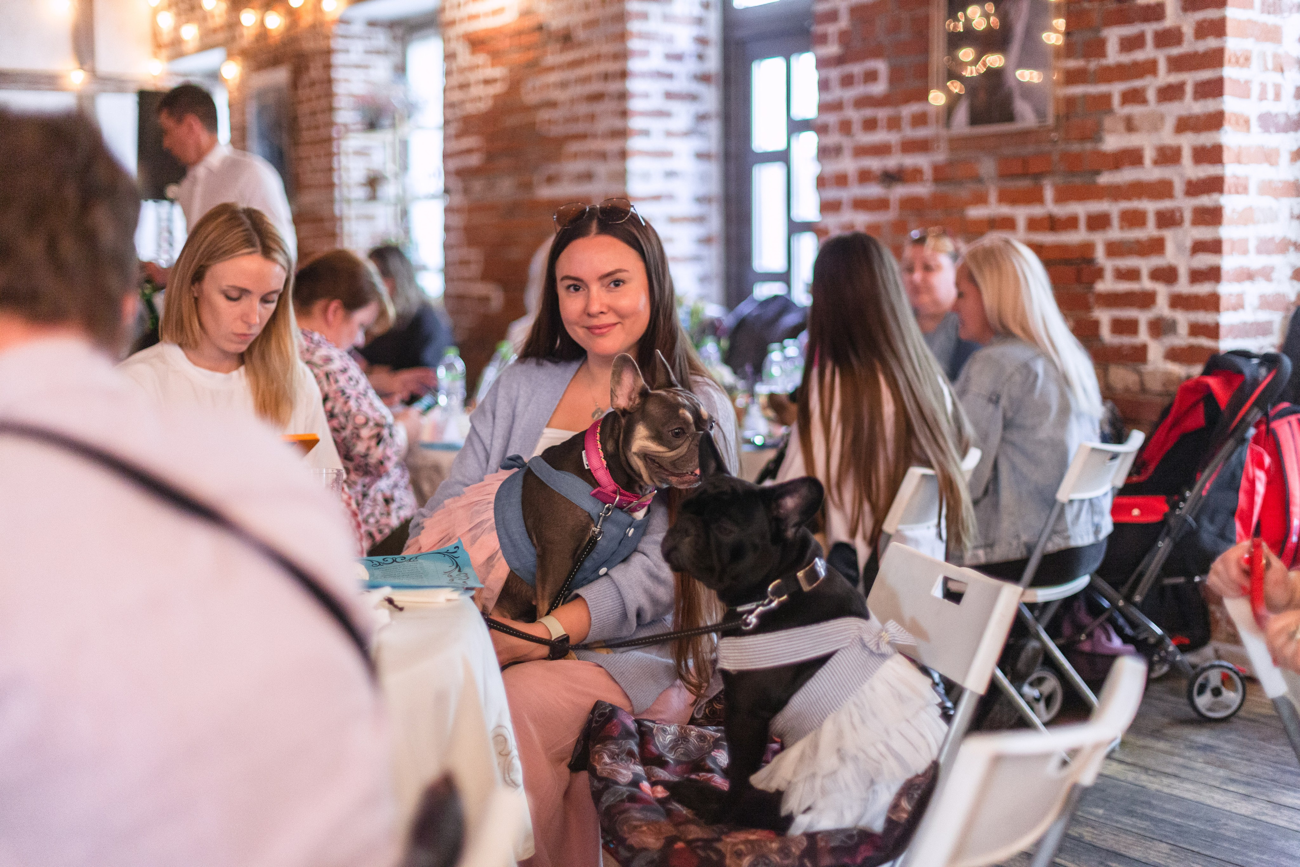 Бульбалл 23.04.2023. Фотограф-анималист Татьяна Степанова