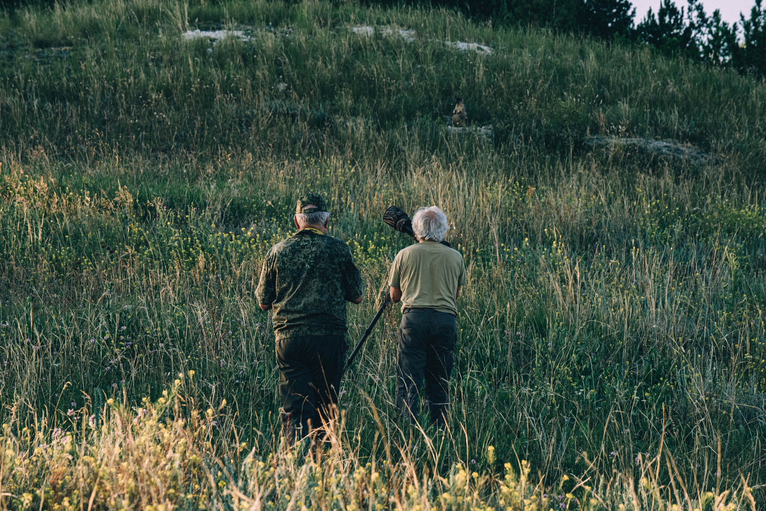 Фотопленэр — Подвальские террасы и болото. Фотообъединение Самарского областного отделения Союза журналистов России