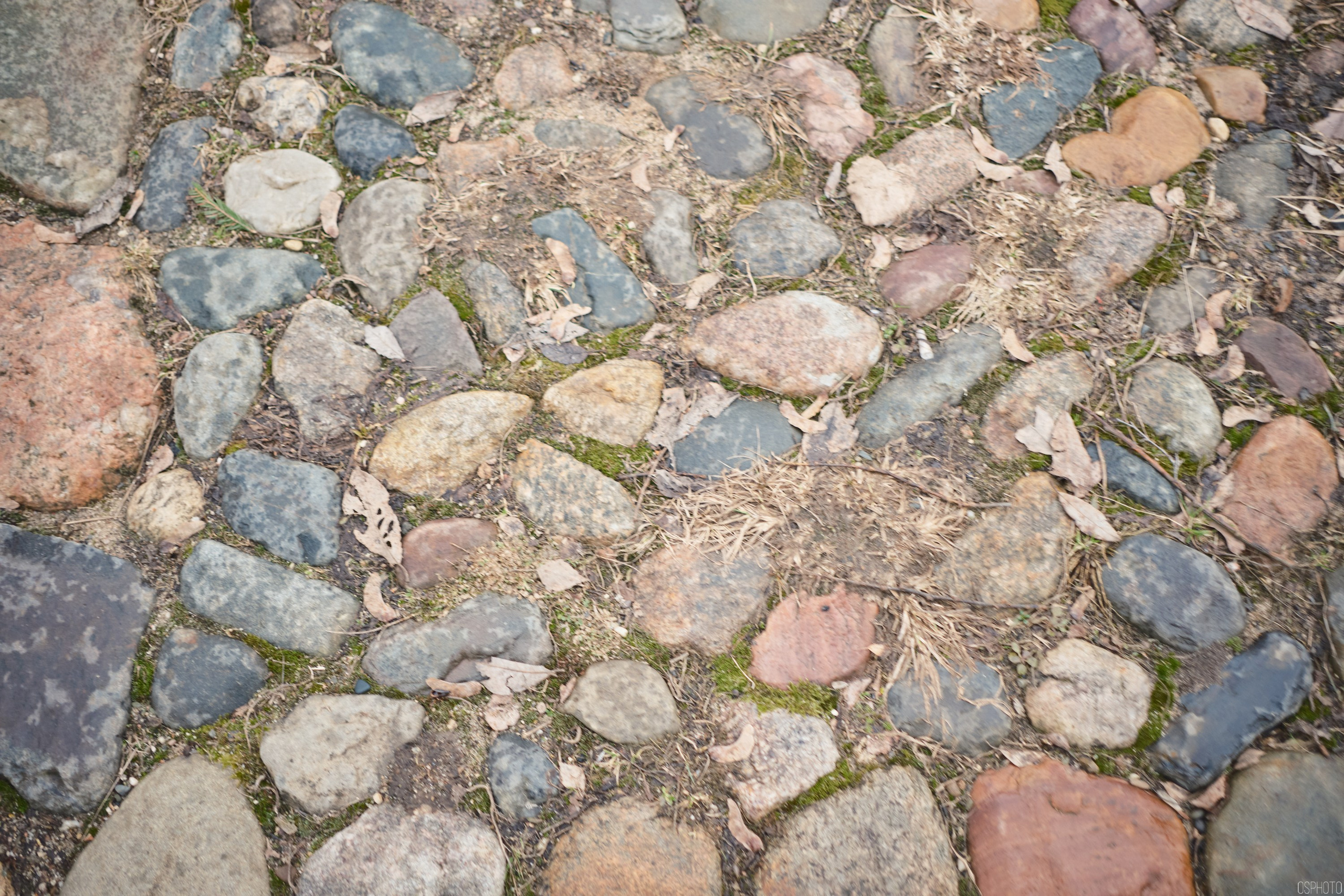 Плёс. Волга. Март. Фотографъ Сергѣевъ. Поймать мгновеніе
