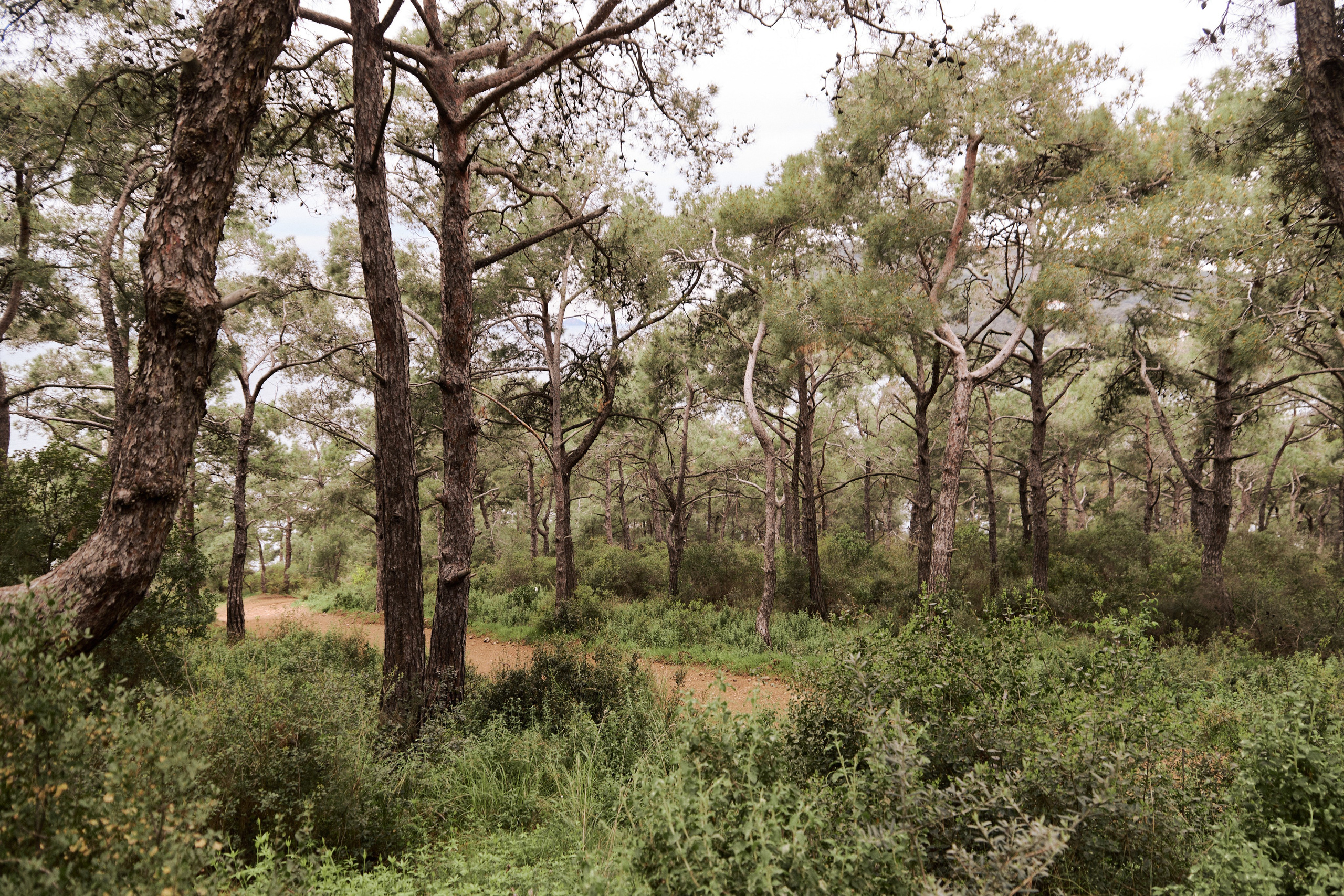 Улица горизонтальная. Jorgis — фотограф в Хургаде / обучение фотографии