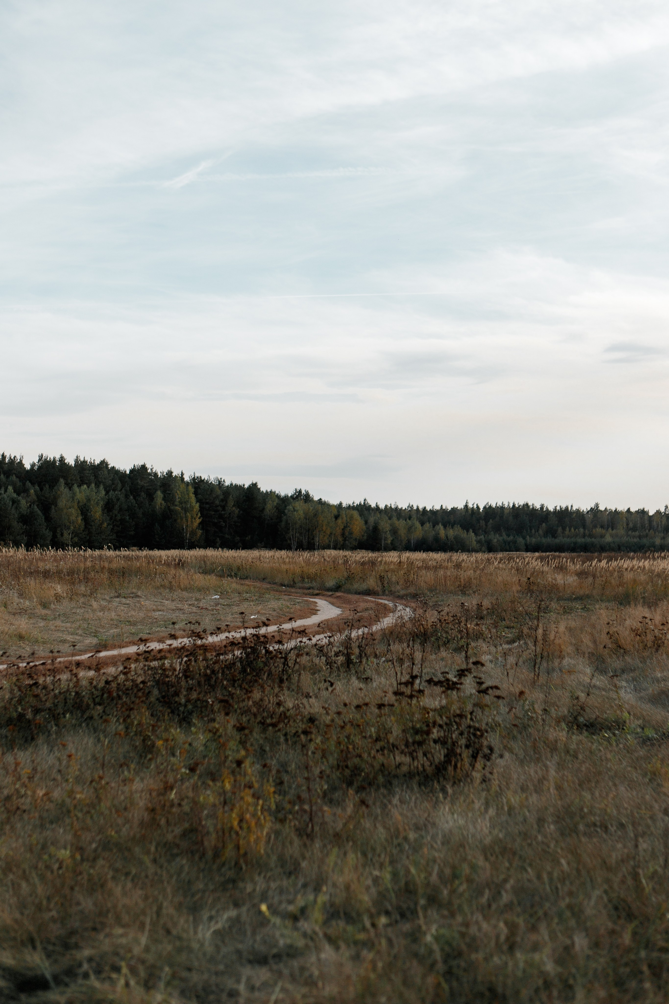Backstage. Съемка клипа в поле. Фотограф Анастасия Кулешова
