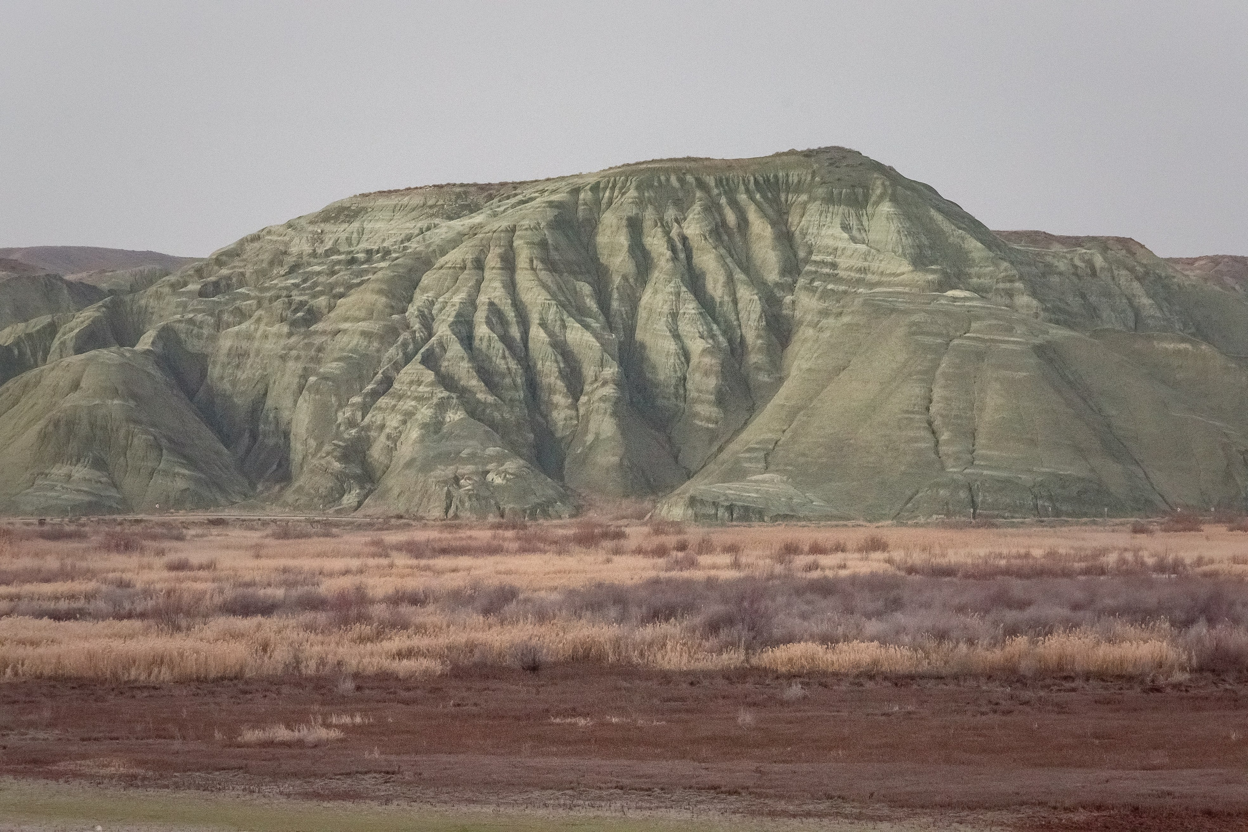 Турция, Птичий заповедник Наллихан. Юля Дэй • Фотограф, Санкт-Петербург