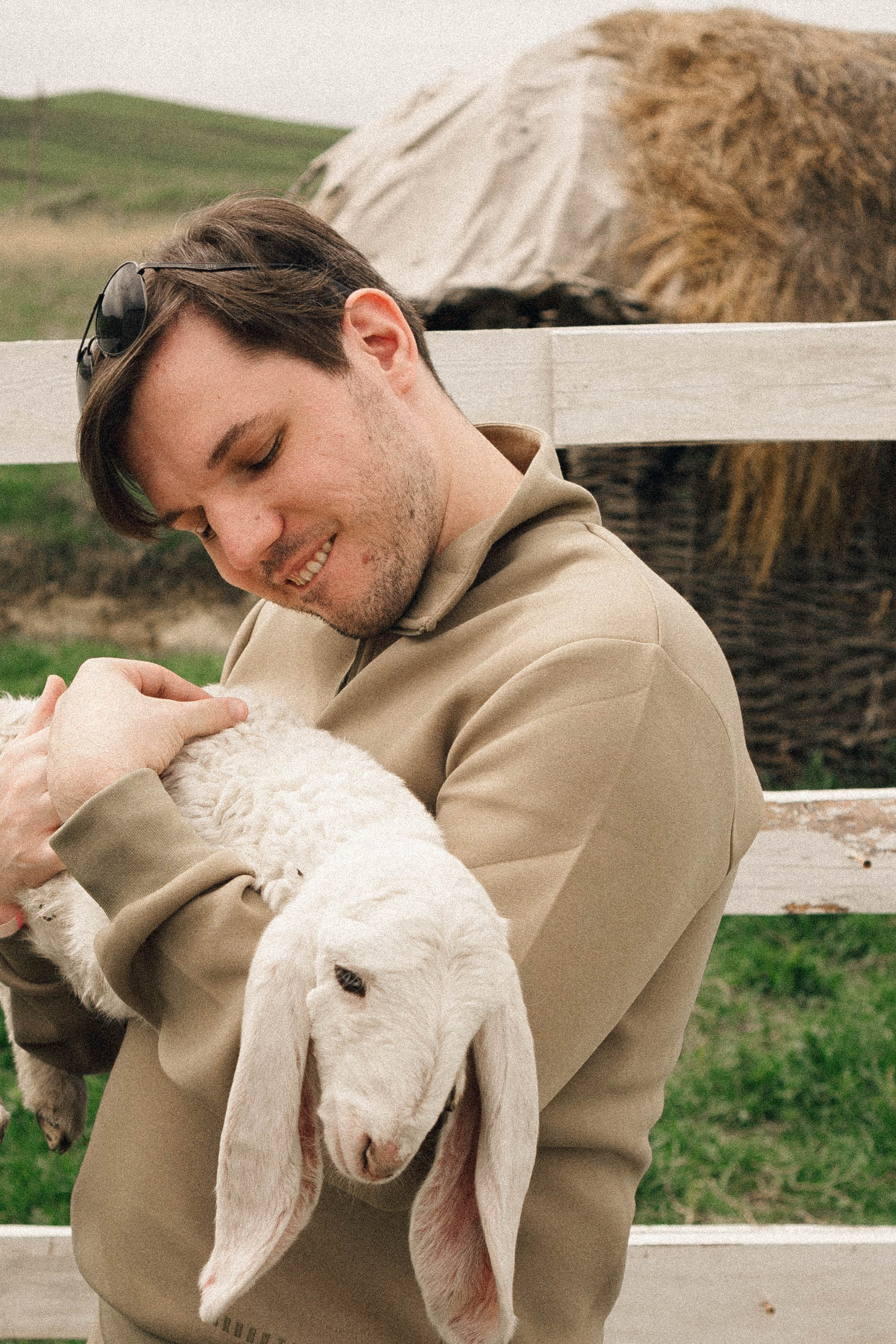 Ферма Альпак. Профессиональный фотограф, Санкт-Петербург — Виктория Богомолова