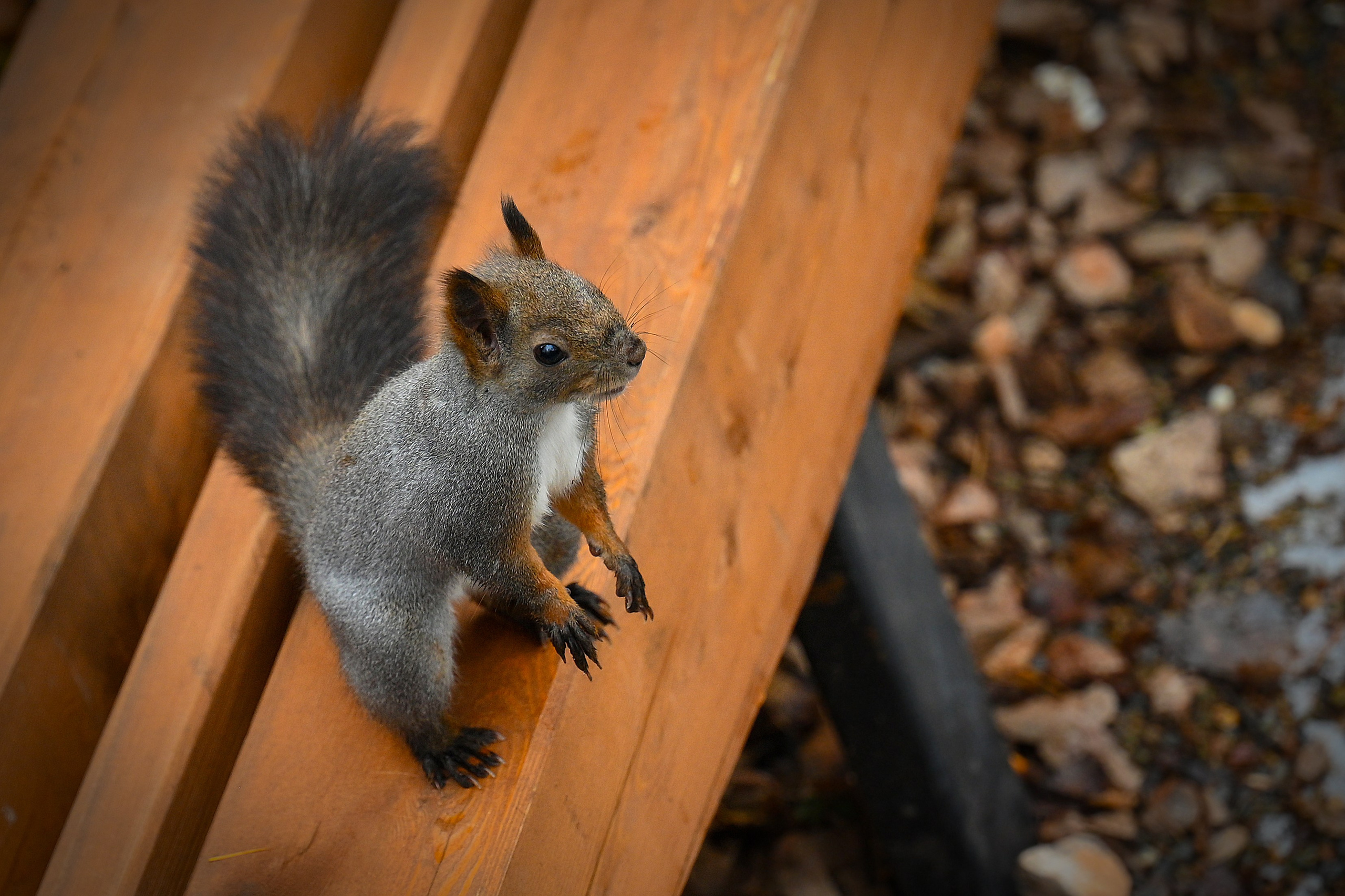 Осень. FotoGraf