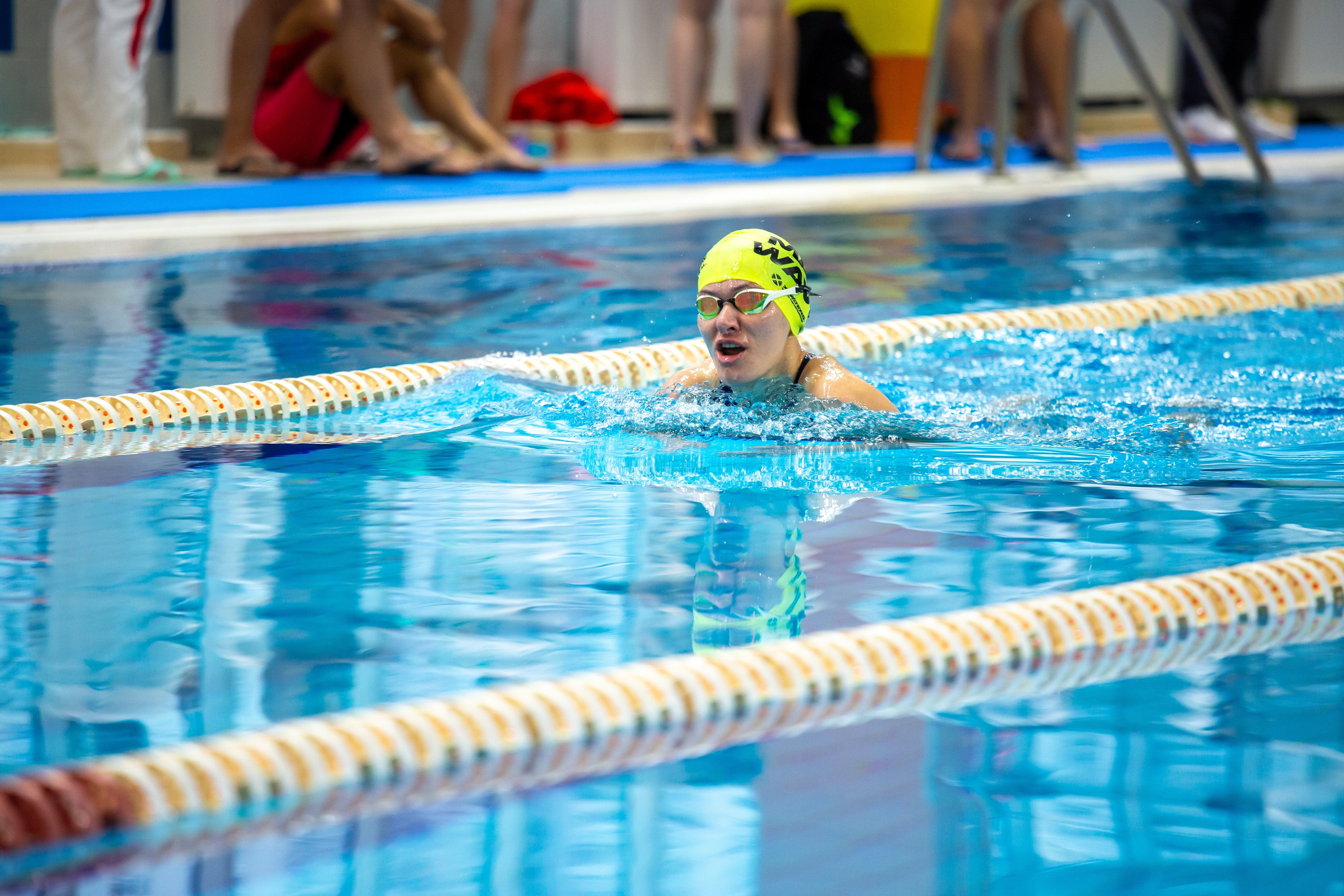 Турнир по плаванию. Репортажный, семейный, свадебный, портретный фотограф
