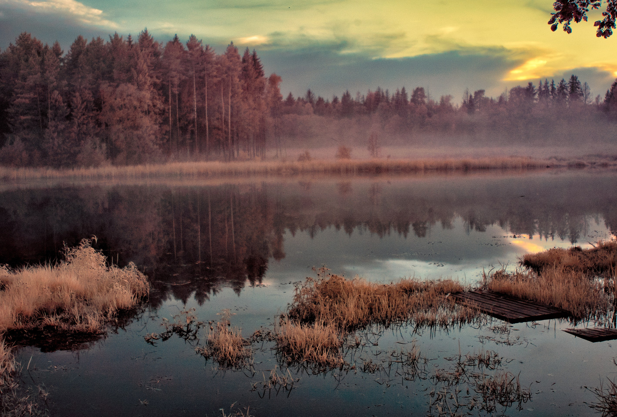 Infrared Photography. Solofilms