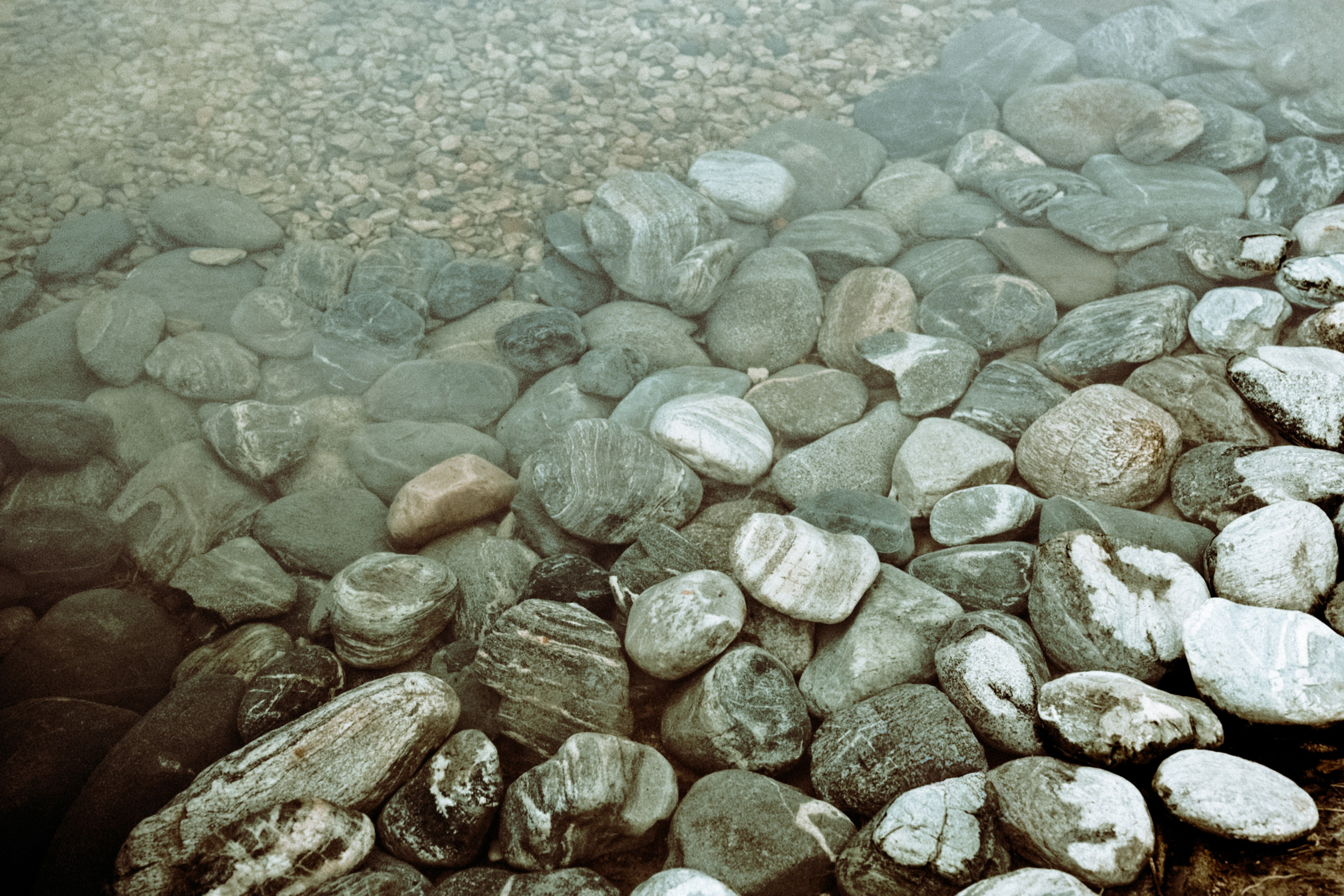 Осень 2025. Фотограф из Москвы — DASHA NOVA | Авторская фотография в разных жанрах