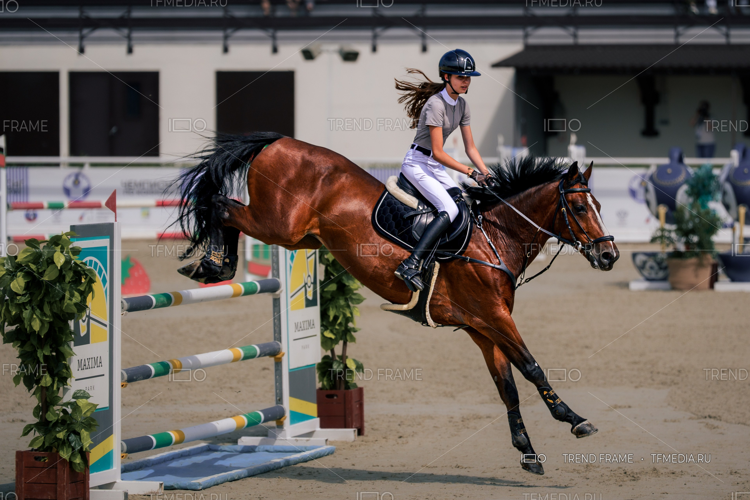 лошади конный спорт — Евразийские Игры 2025, Maxima Park
