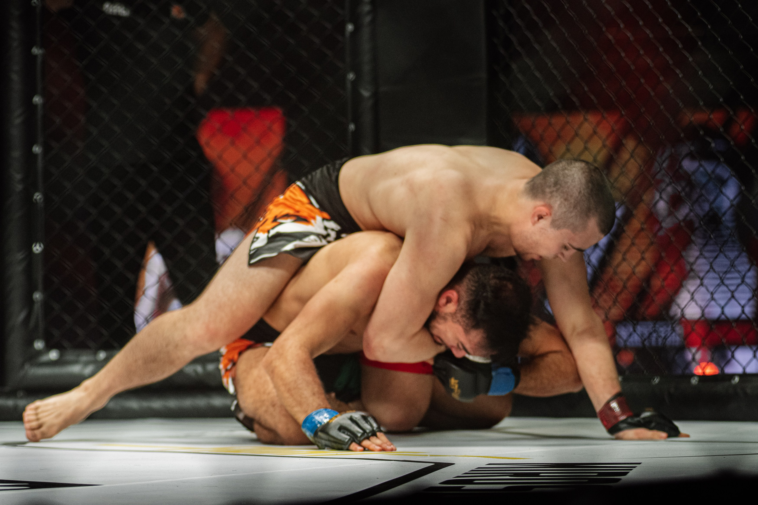Miroslava Fight