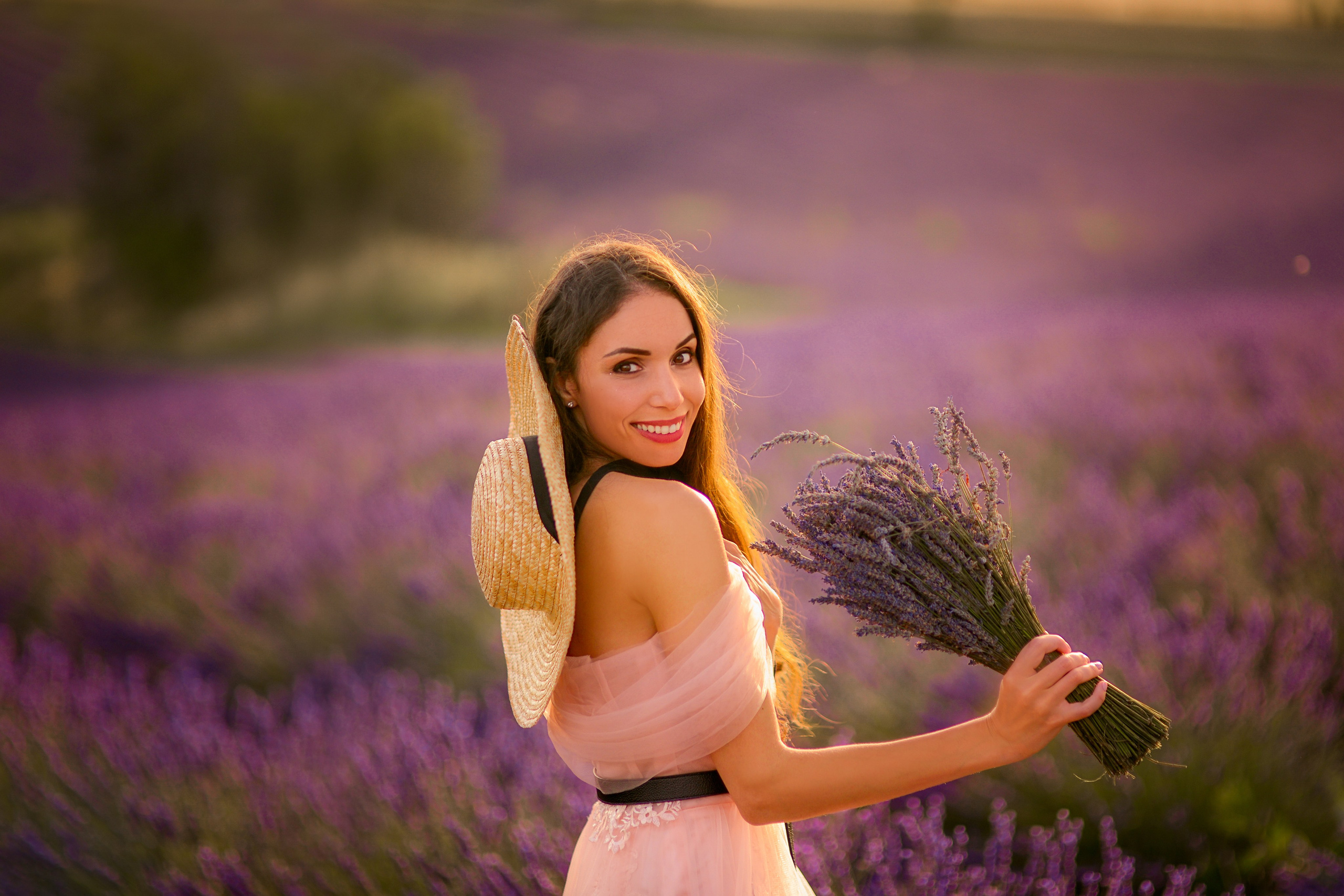 Lavender. Photographer in Provence Julia Lipiainen