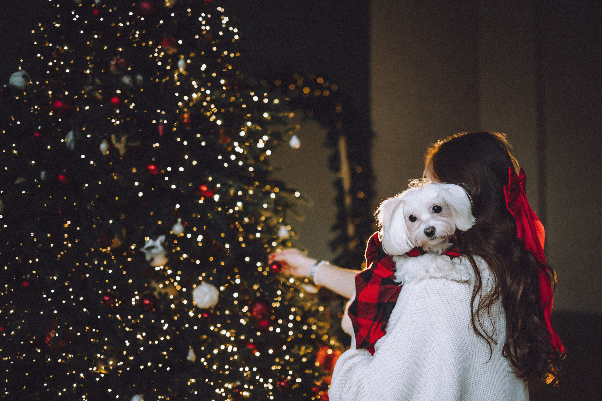 Констанция и Молли