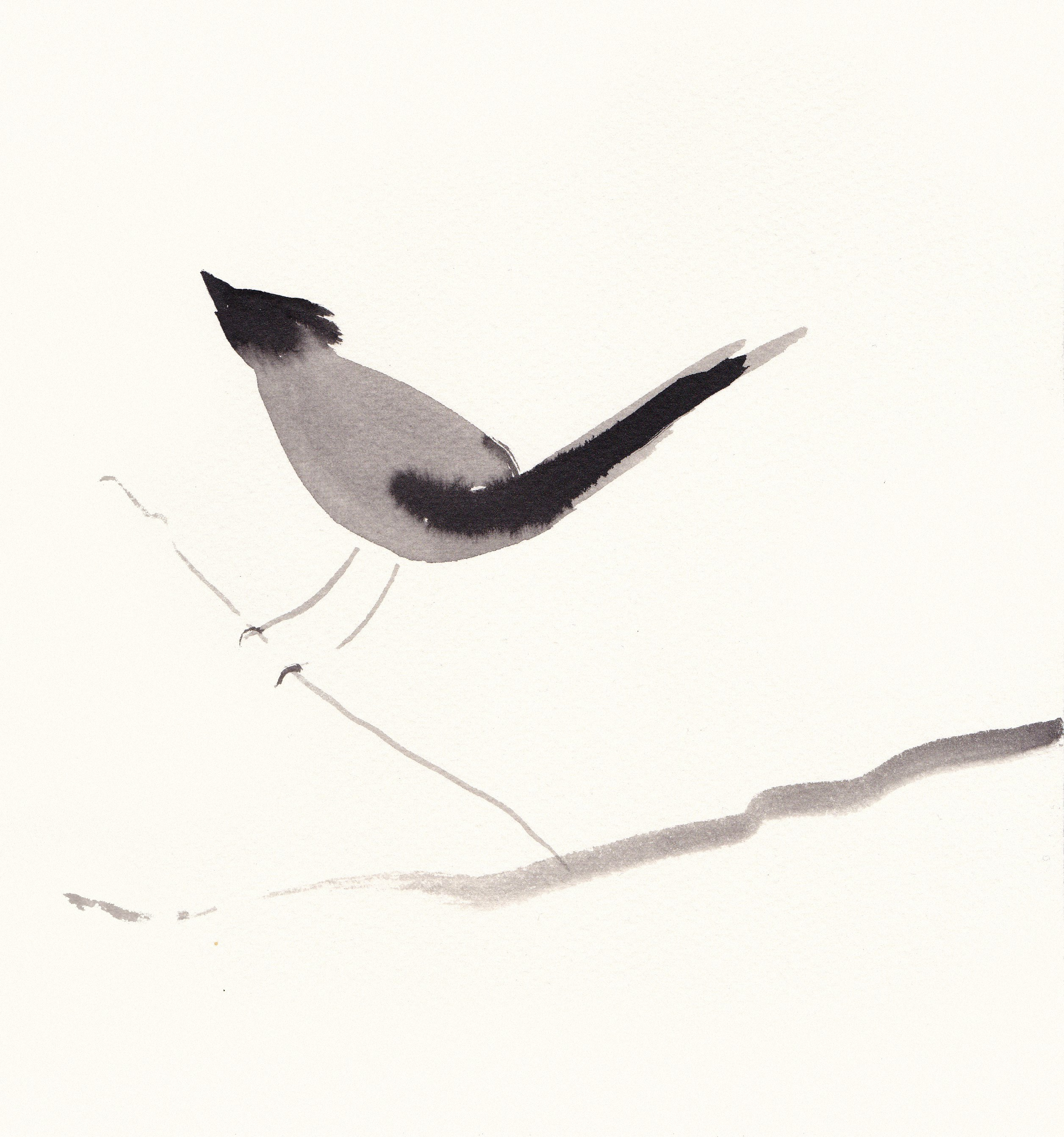 Ink Drawings. Portfolio Birdcrush