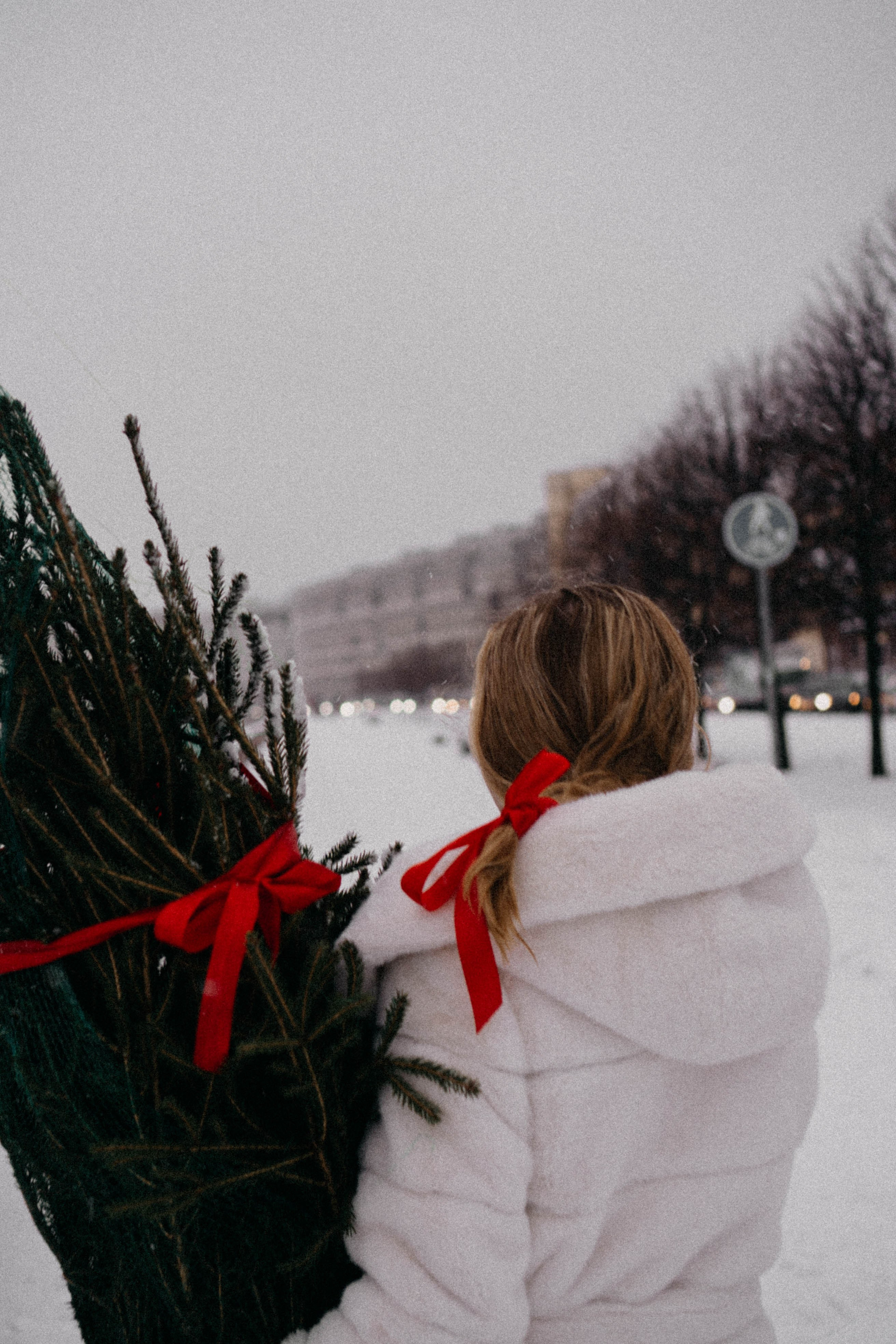 Новогодняя. Профессиональный фотограф, Санкт-Петербург — Виктория Богомолова