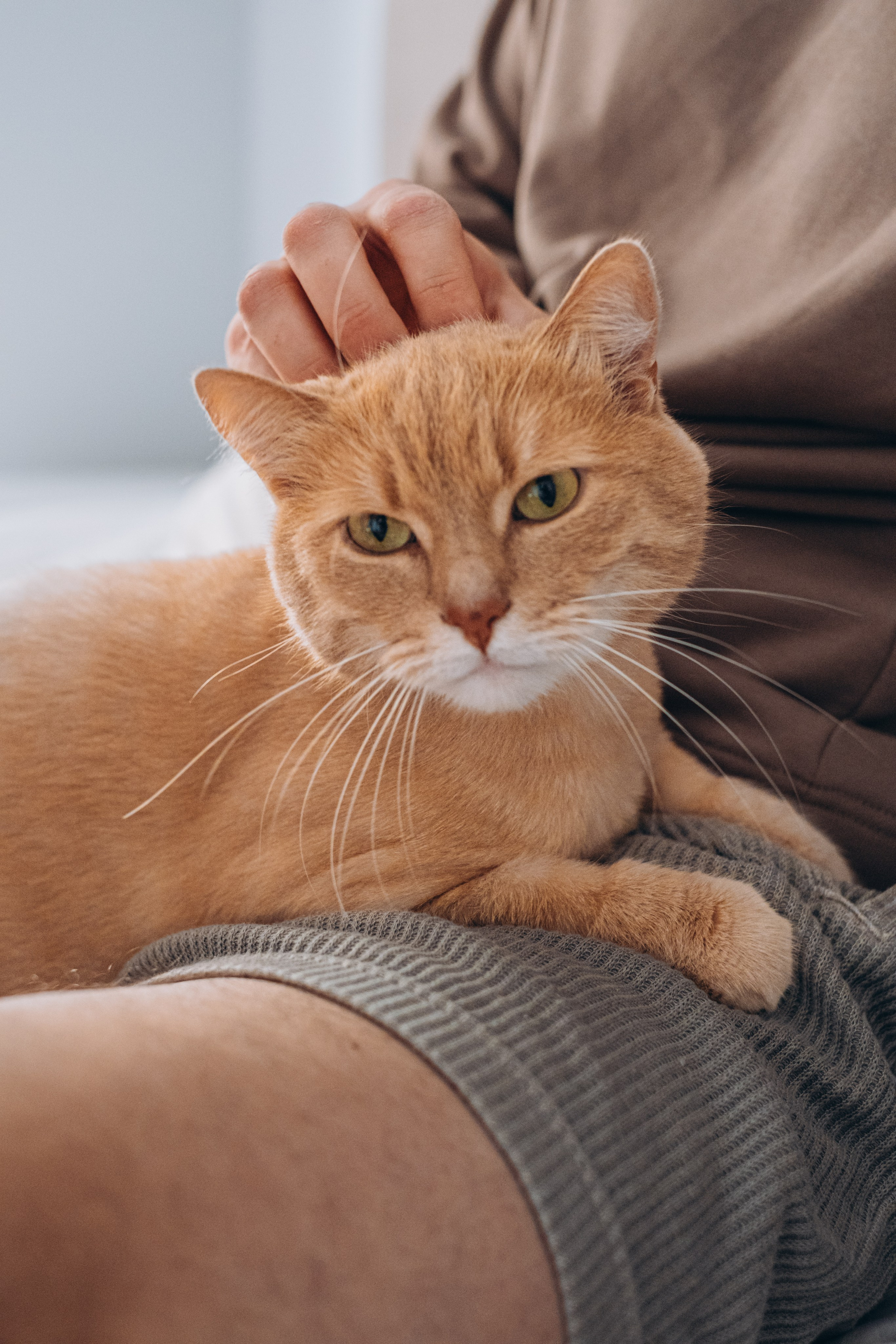 Семейная съёмка. Портретный фотограф | Валерия Кичигина