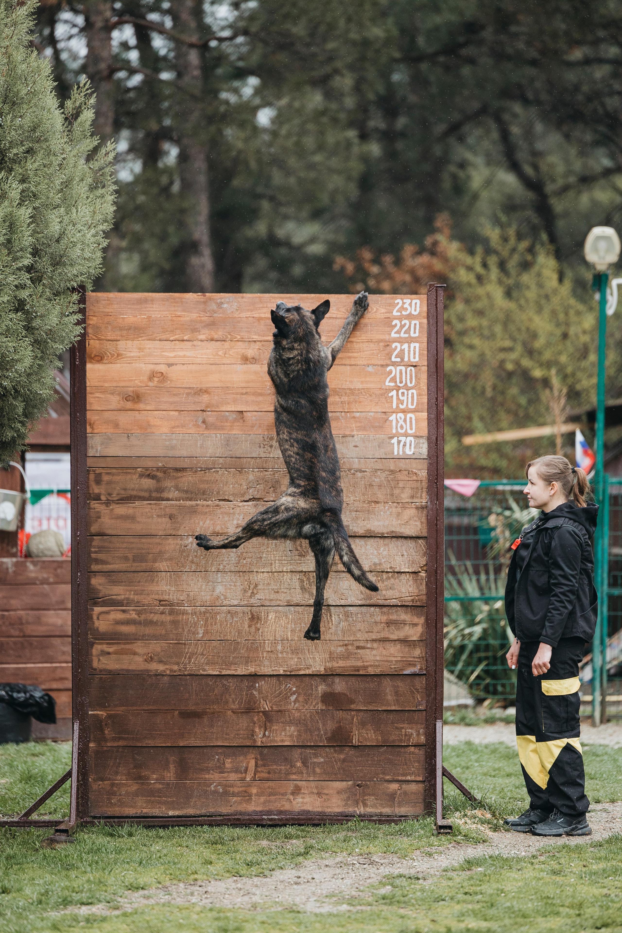 Геленджик Мондьоринг. Фотограф-анималист Анна Маринич