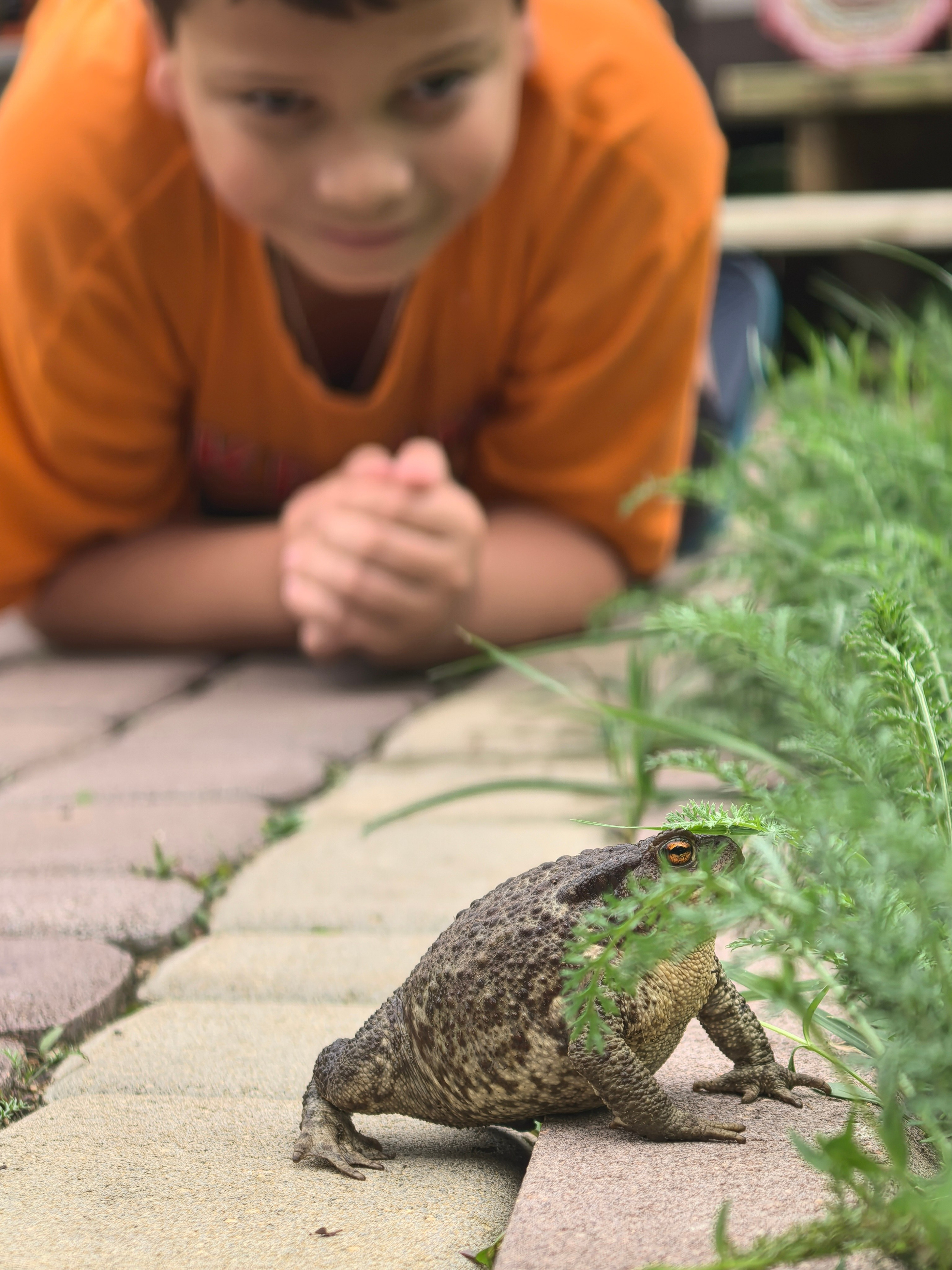 Чудесная природа. Школьные выпускные альбомы в Москве Марина Николаева