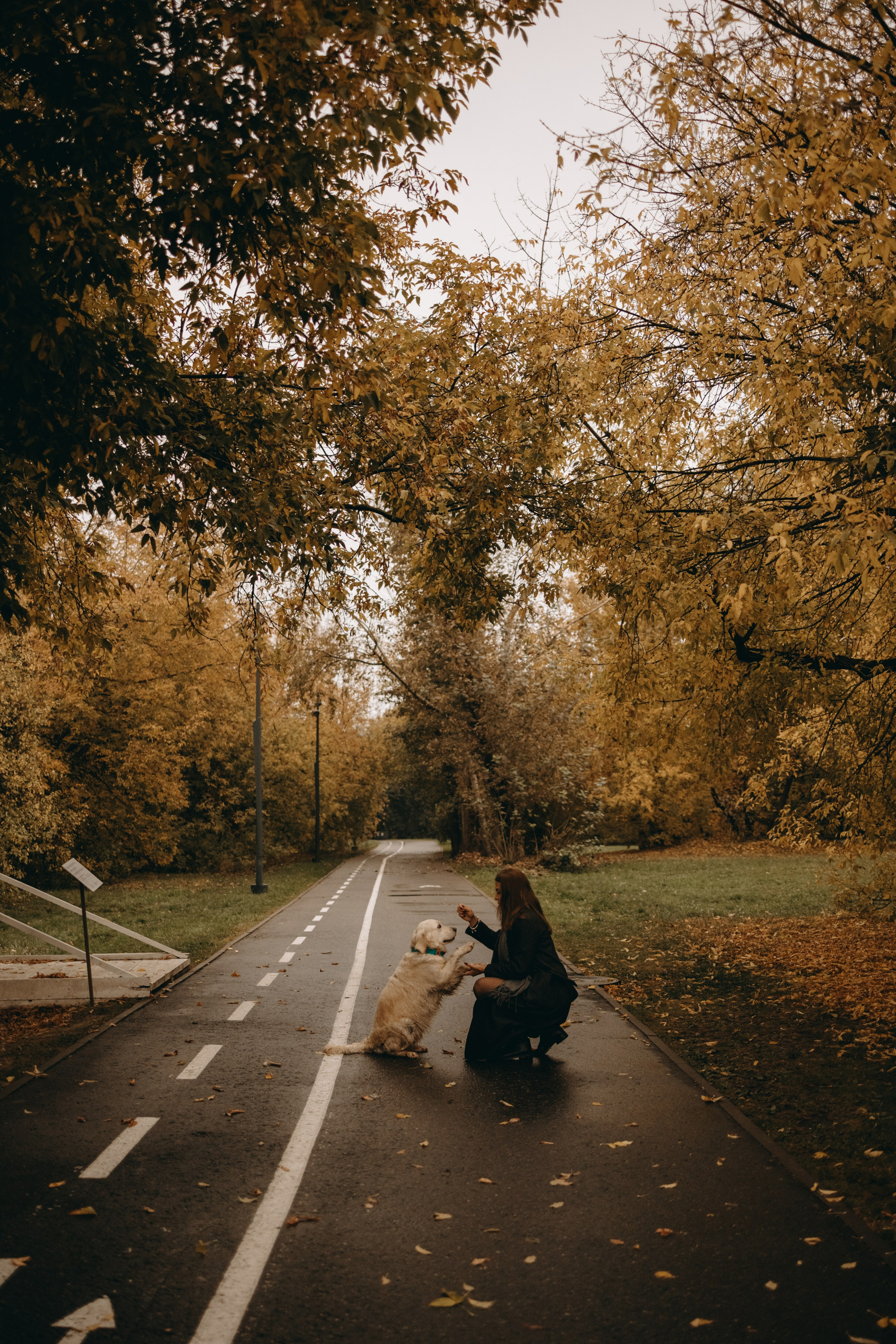 Женя и ее девочки. Фотограф — Анималист | Санкт-Петербург
