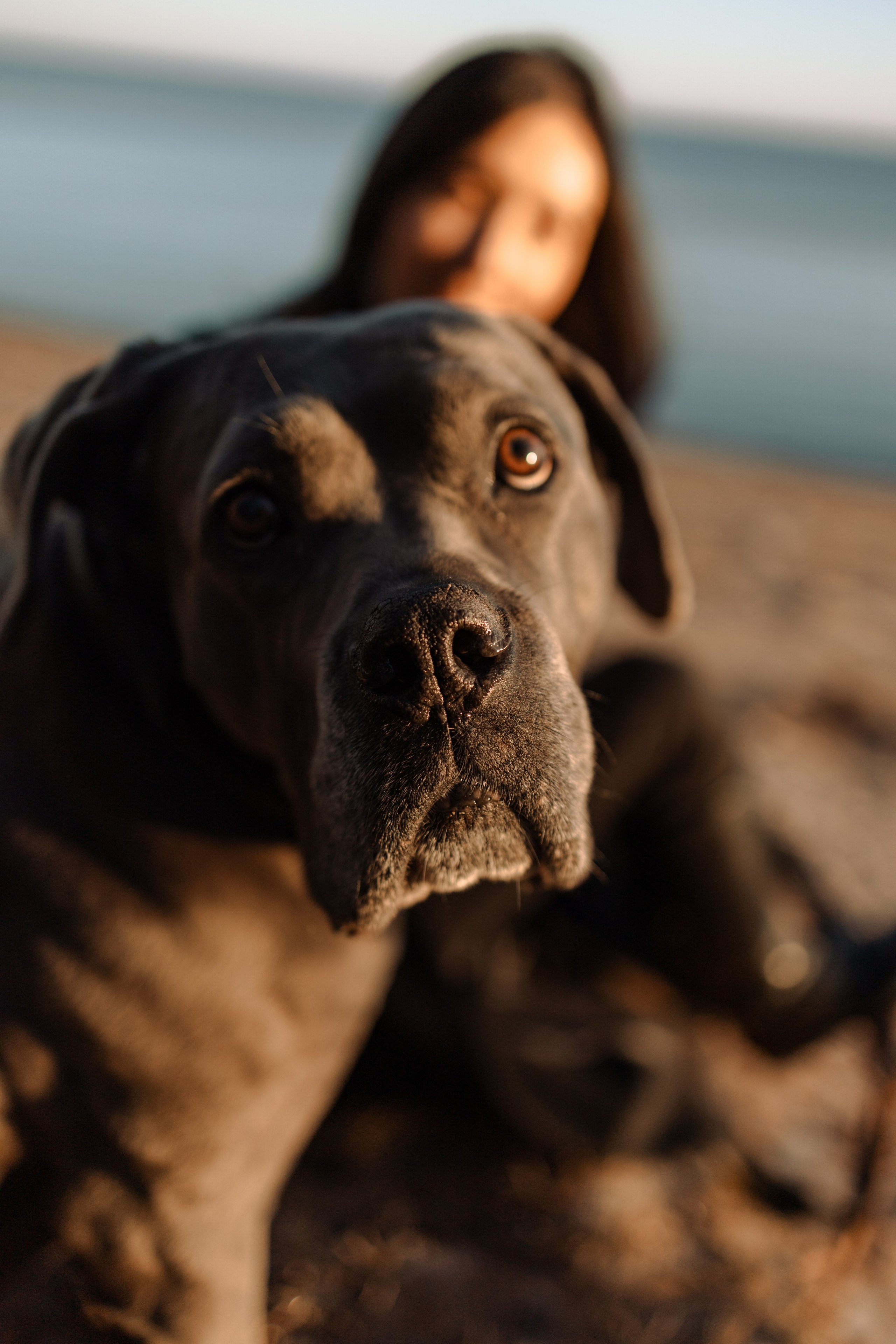 Анна и Лана. Фотограф — Анималист | Санкт-Петербург