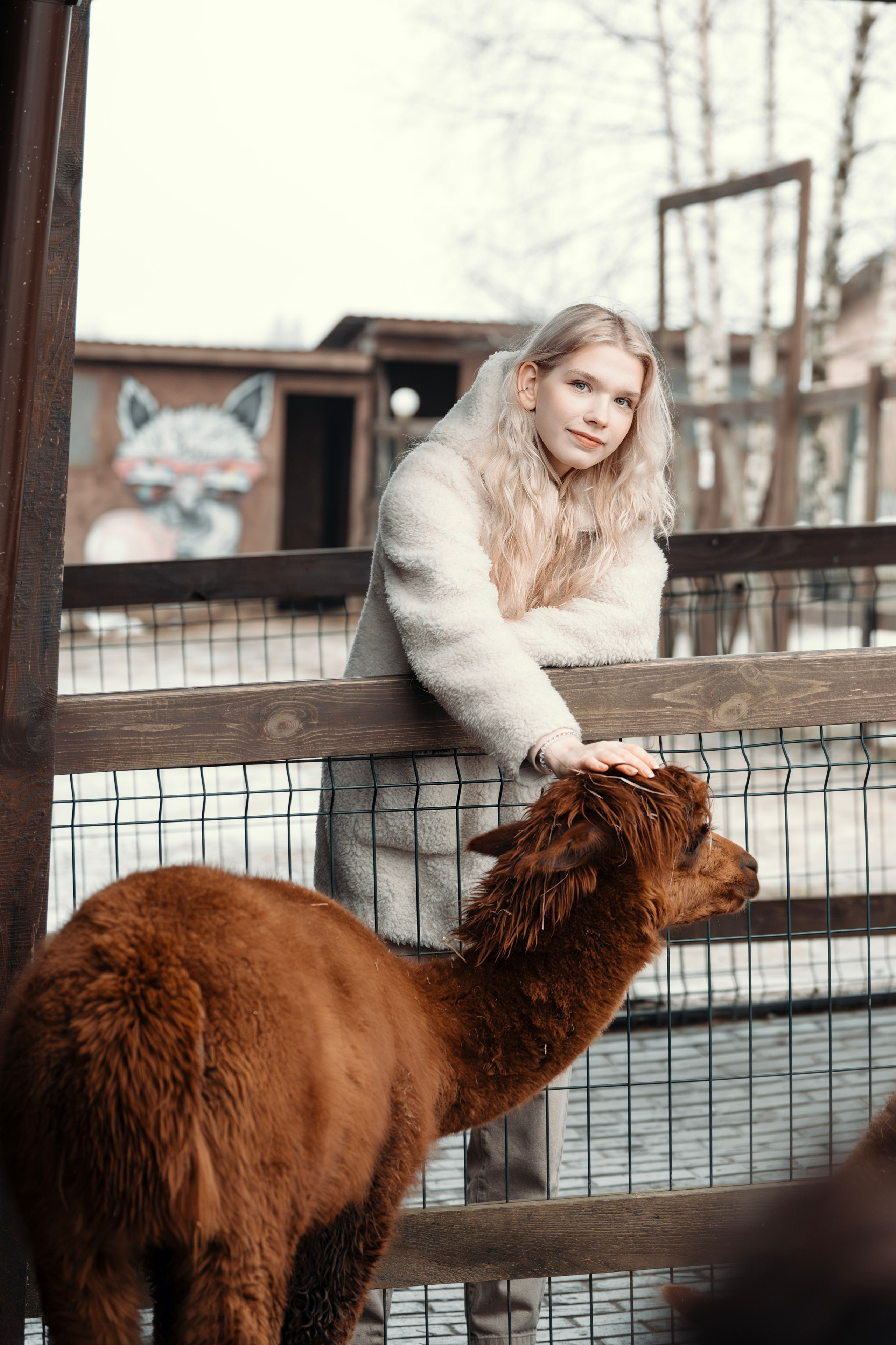 Альпаки. Свадебный и семейный фотограф в Москве Елена Новикова