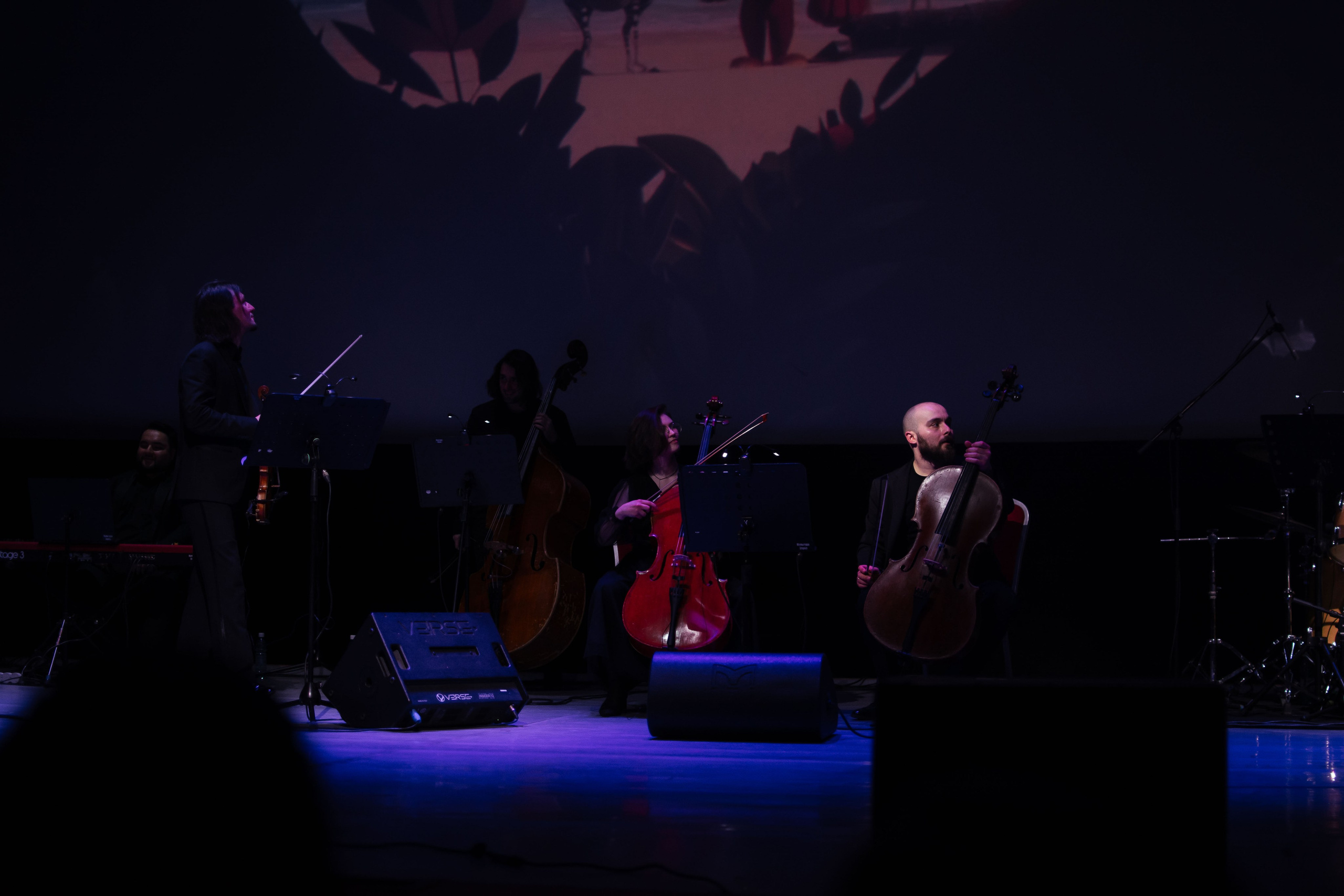 Концерт оркестра Cinematica. Репортажный фотограф в Новосибирске