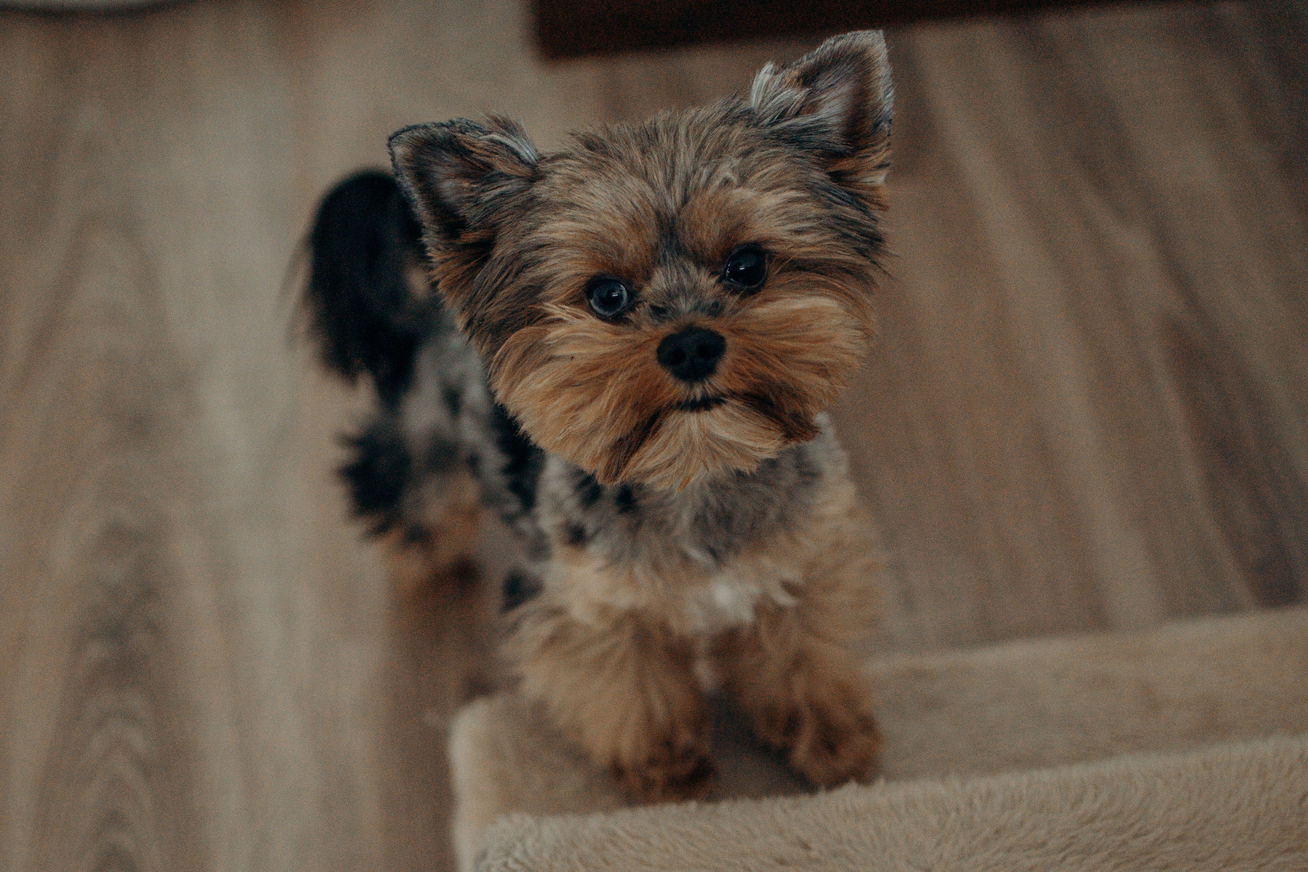 Настя и Йося