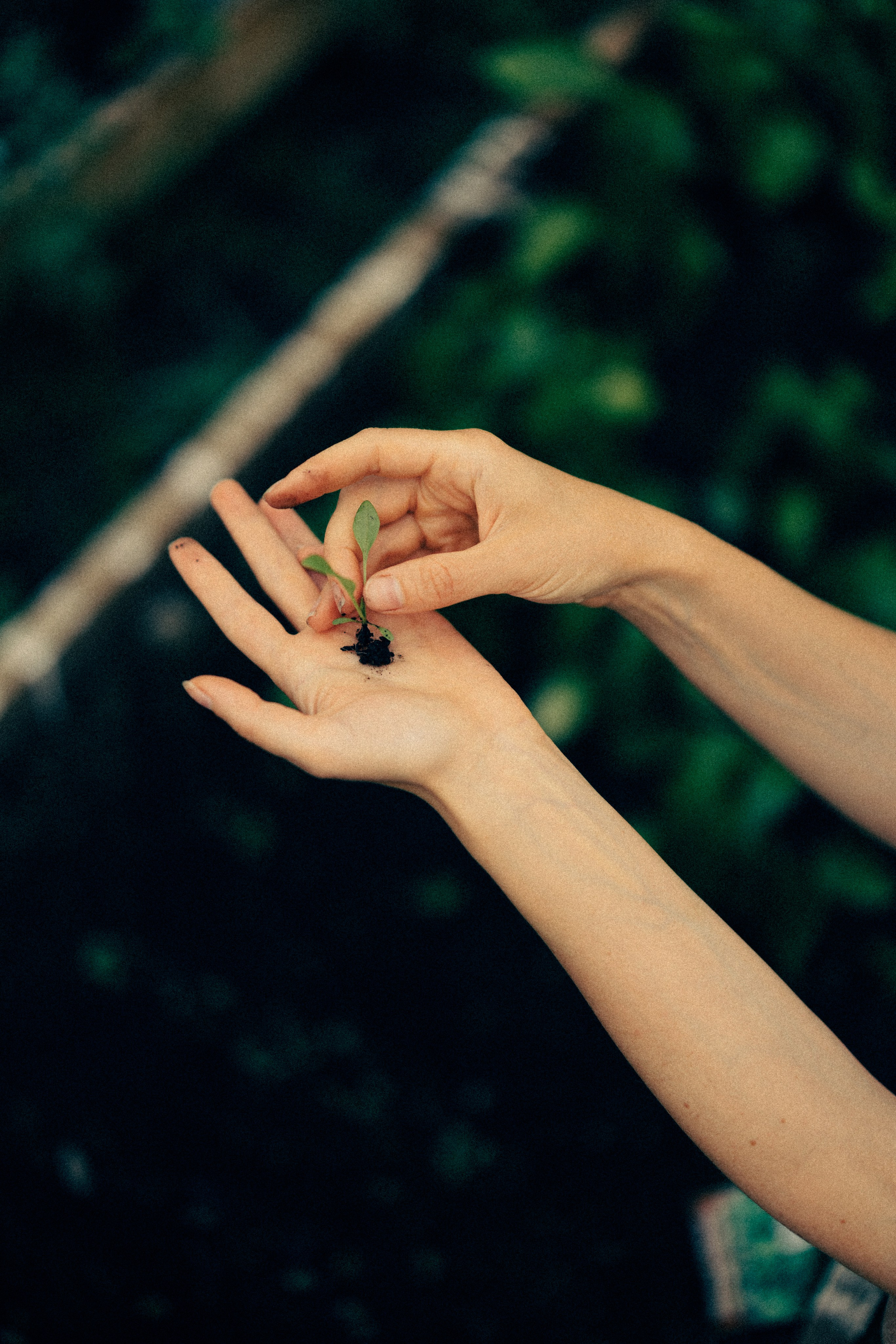 Обжитое. Daria Chigintseva Photographer