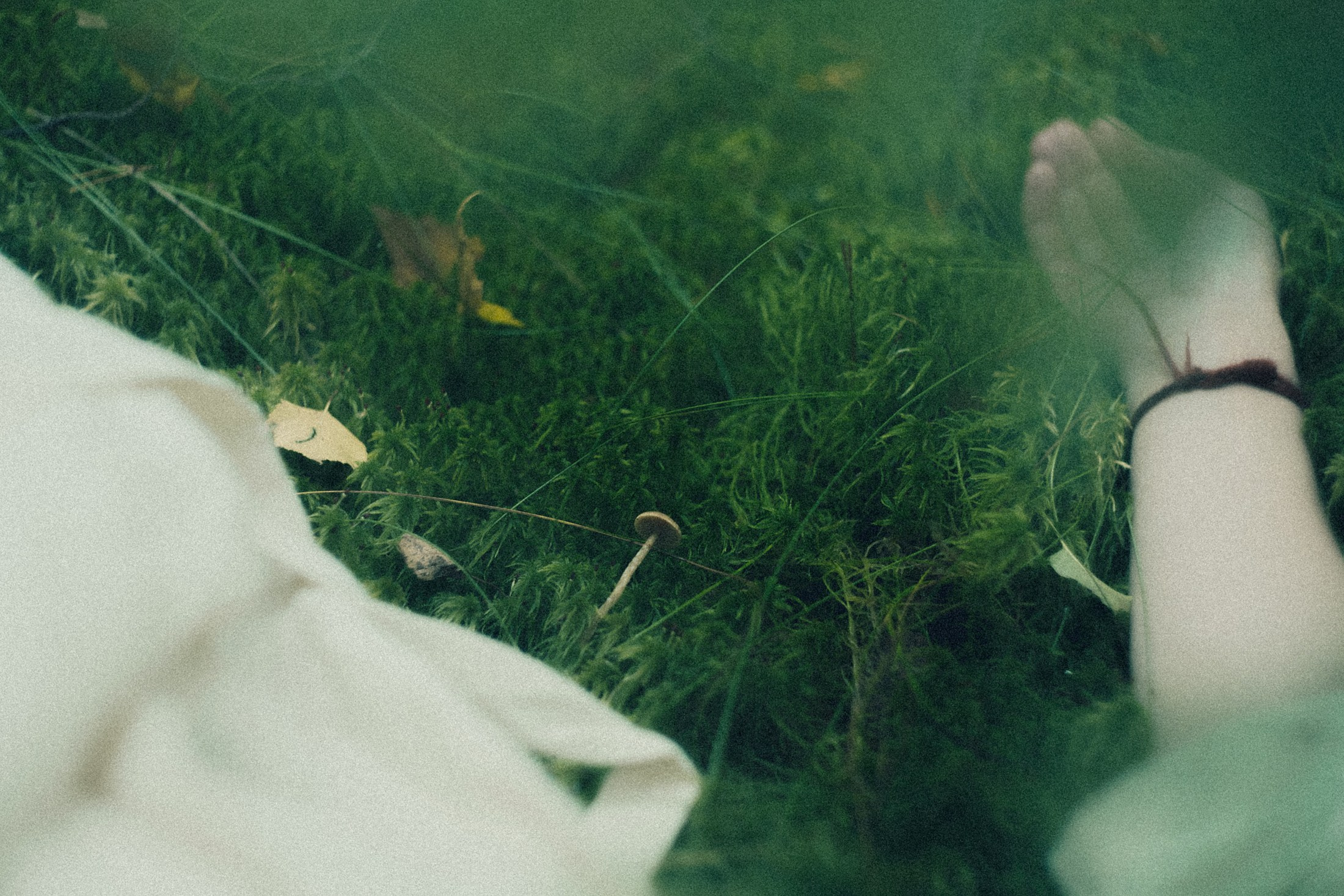 Наощупь. Алиса Аницкая