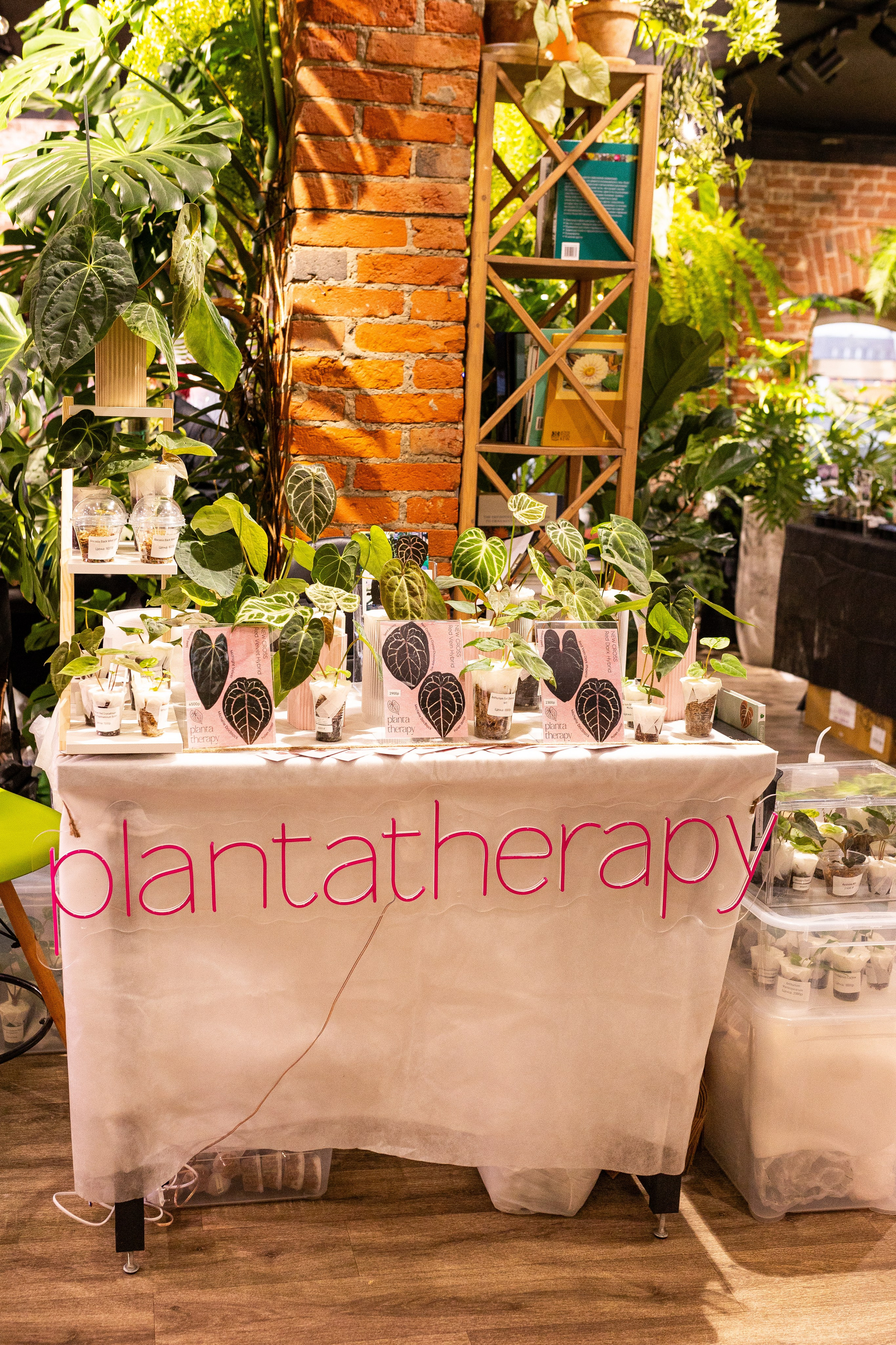 Green_Rare Ярмарка февраль 2025. Александра Куликова фотограф, Москва