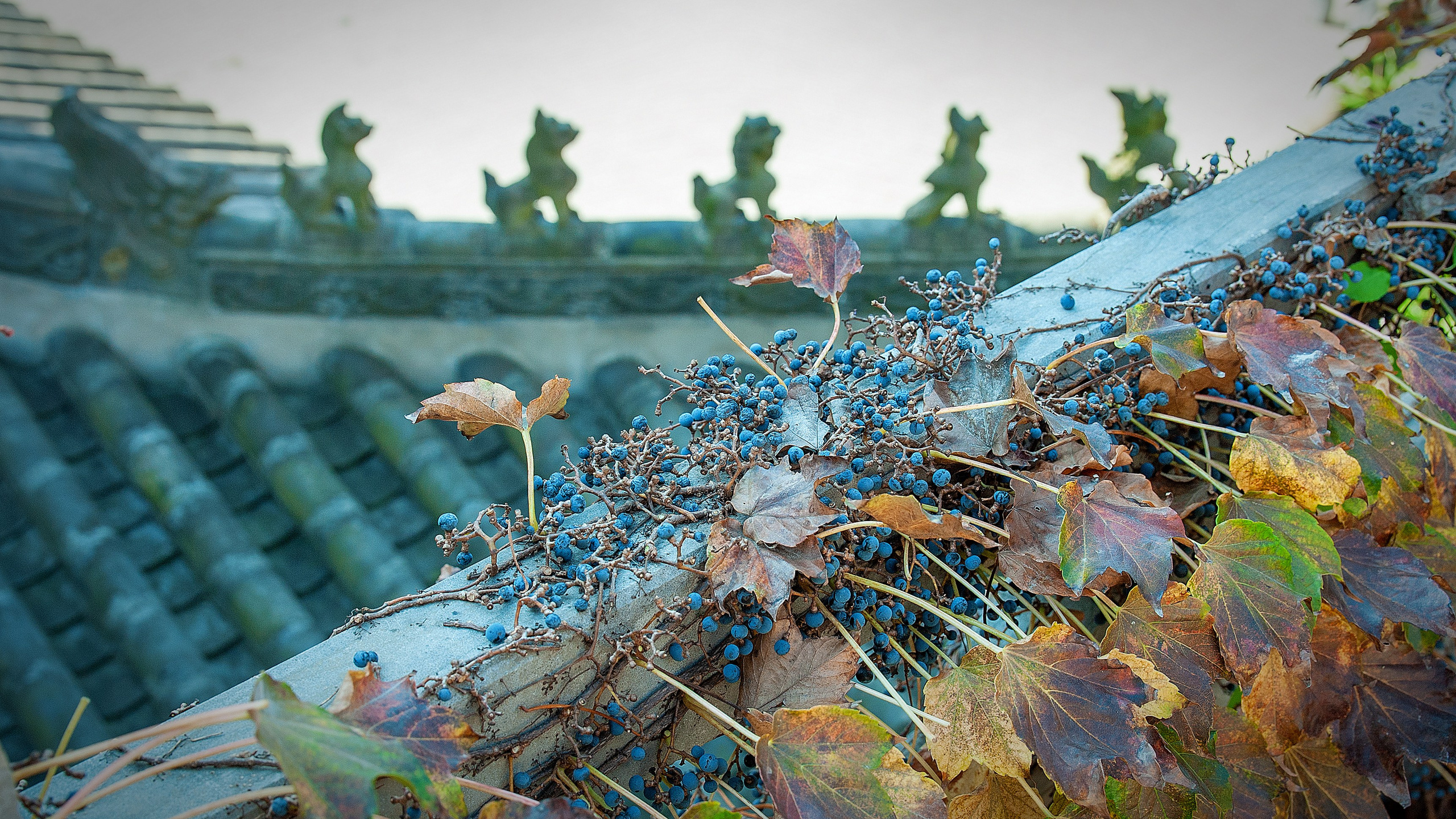 Загадочный Китай. FotoGraf