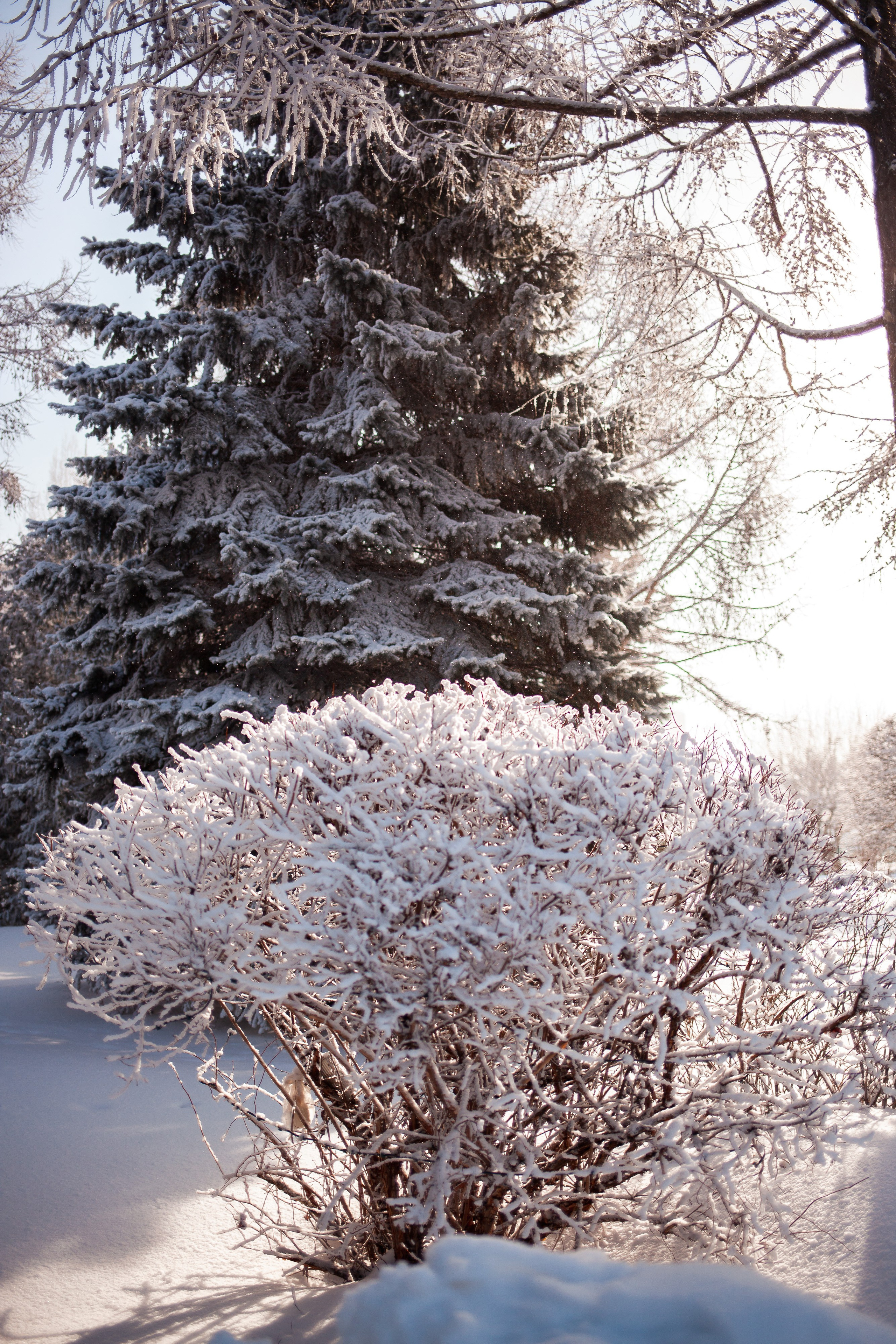 Фотосъемка природы, города, улиц. Инна Карцева Свадебный фотограф Тольятти
