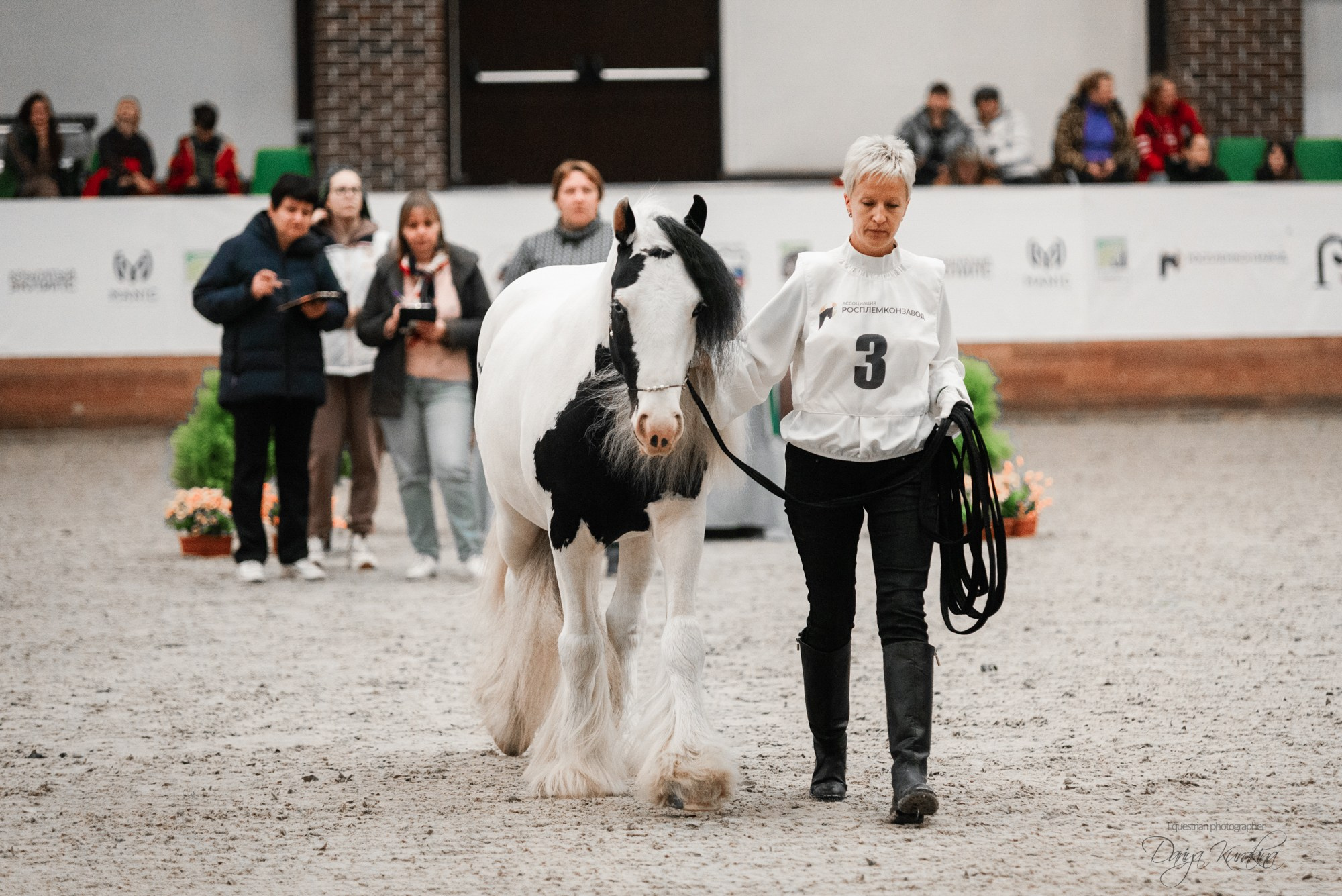 8-я международная выставка Конная Россия. Конный фотограф Куракина Дарья • Фотосессии с лошадьми