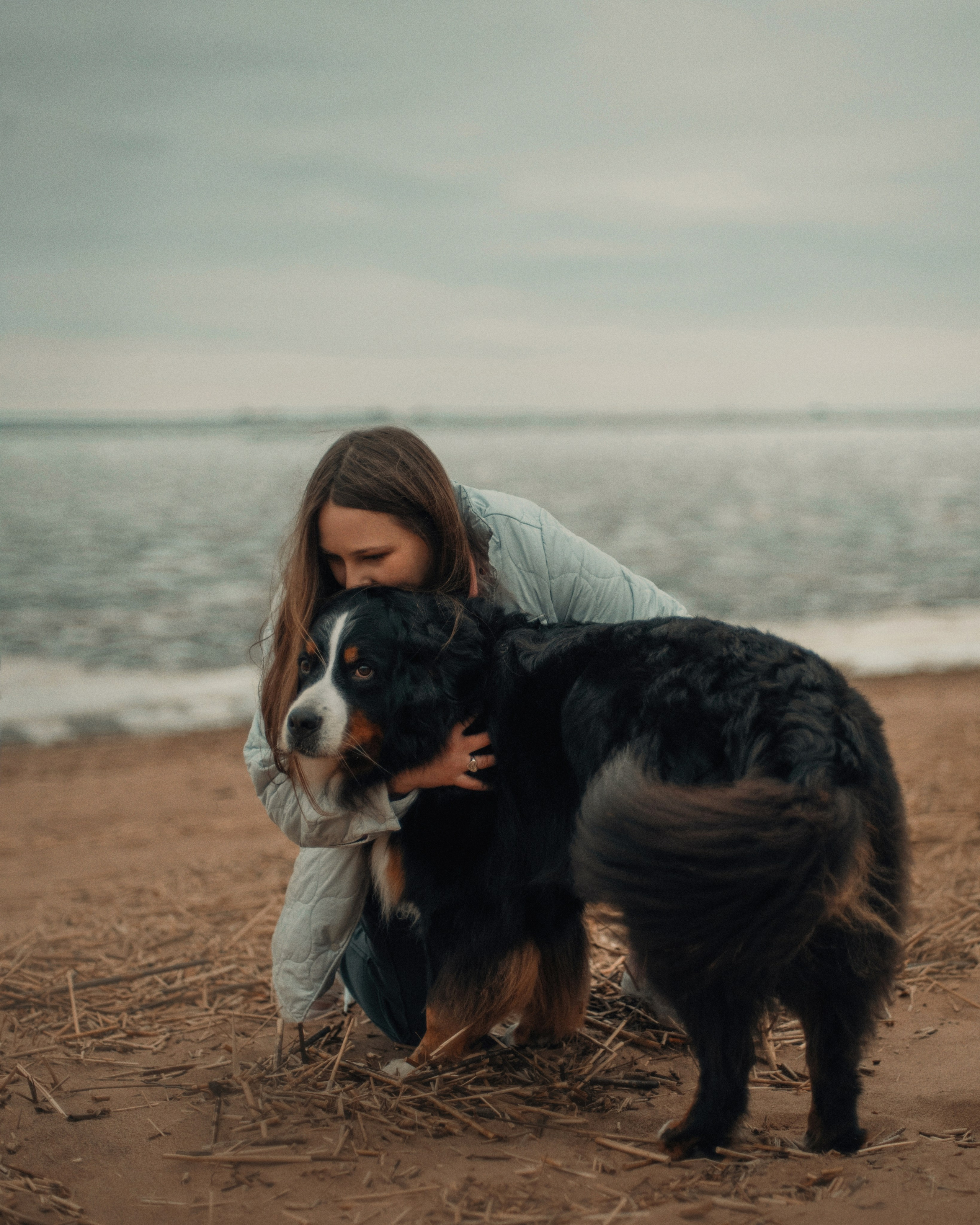 Прогулка: берн Пума, Фрэнк и Юля в Питере. Портфолио