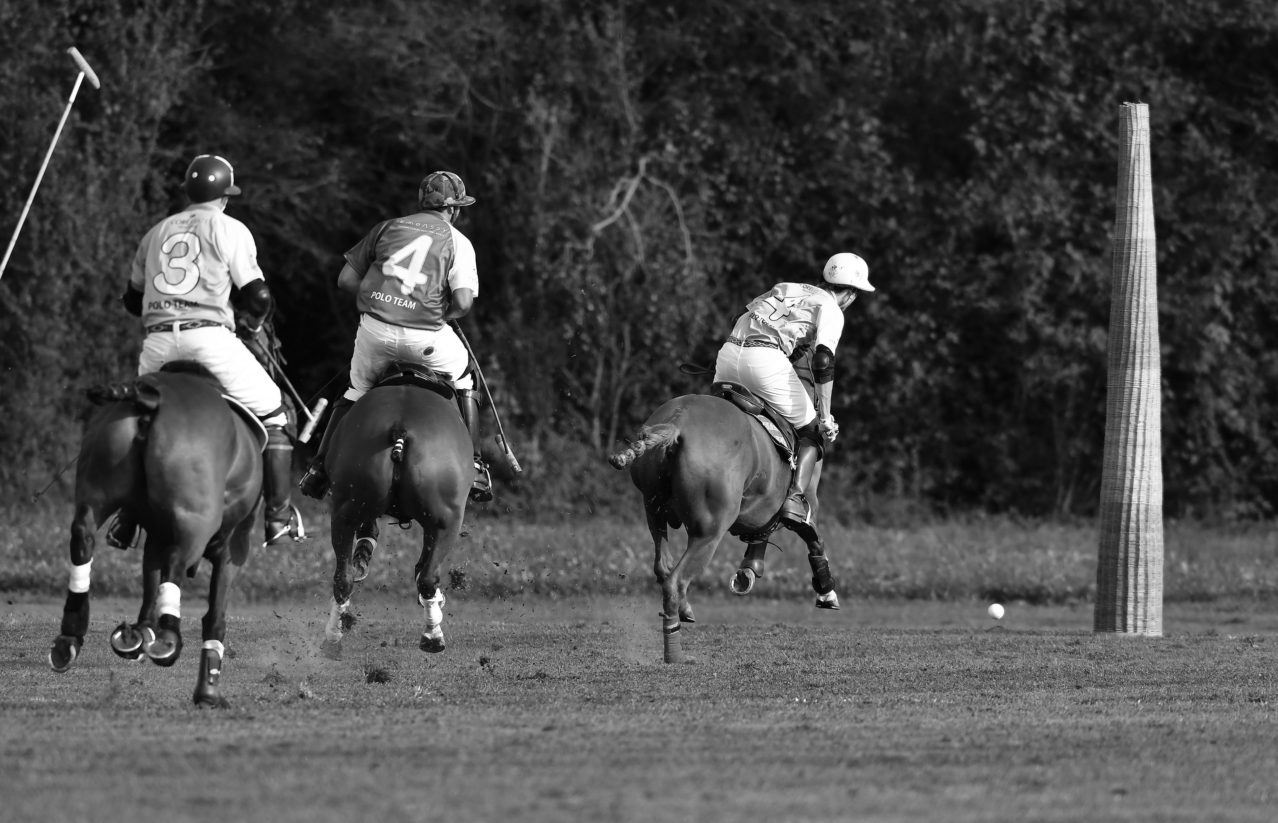 Polo art photos. Art photos of horses — ARTUR BABOEV | Photographer