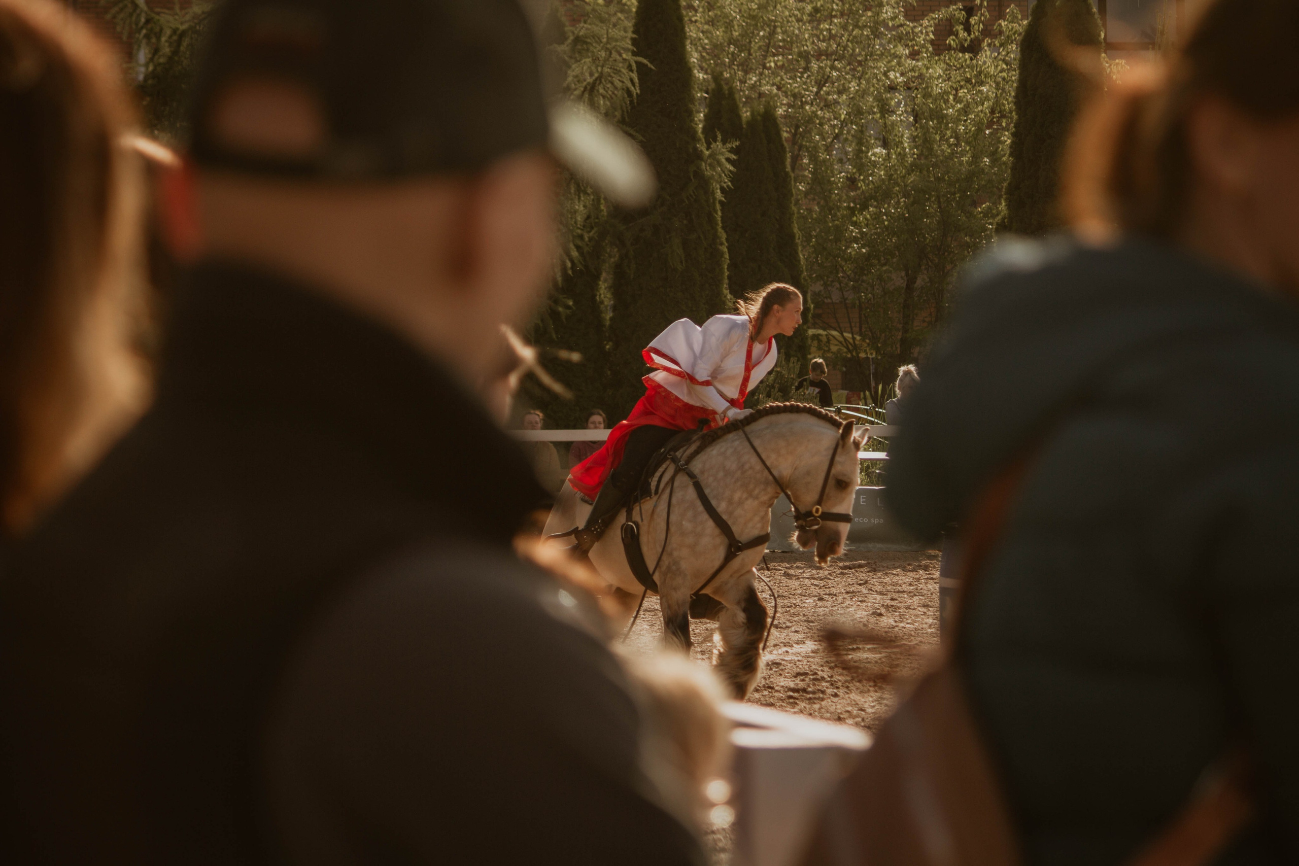 ИППОСФЕРА — Международная конная выставка. Создадим шедевр? Виталина и её фотоискусство