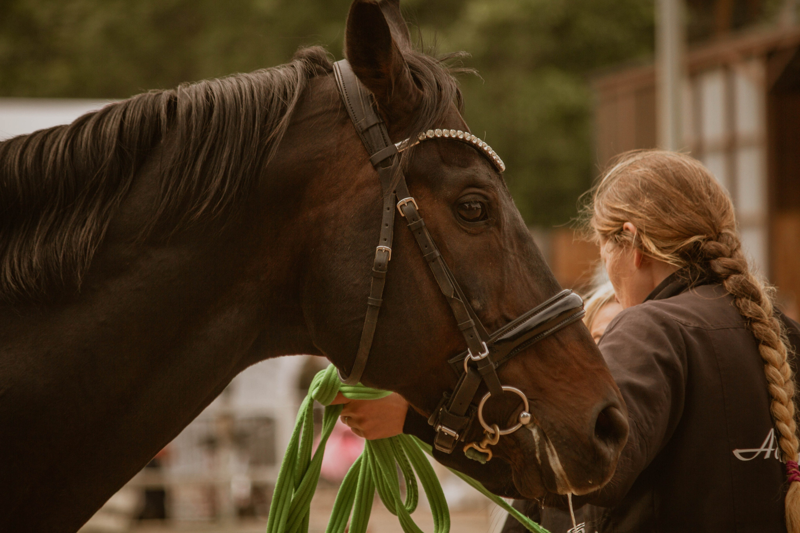 ИППОСФЕРА — Международная конная выставка. Создадим шедевр? Виталина и её фотоискусство