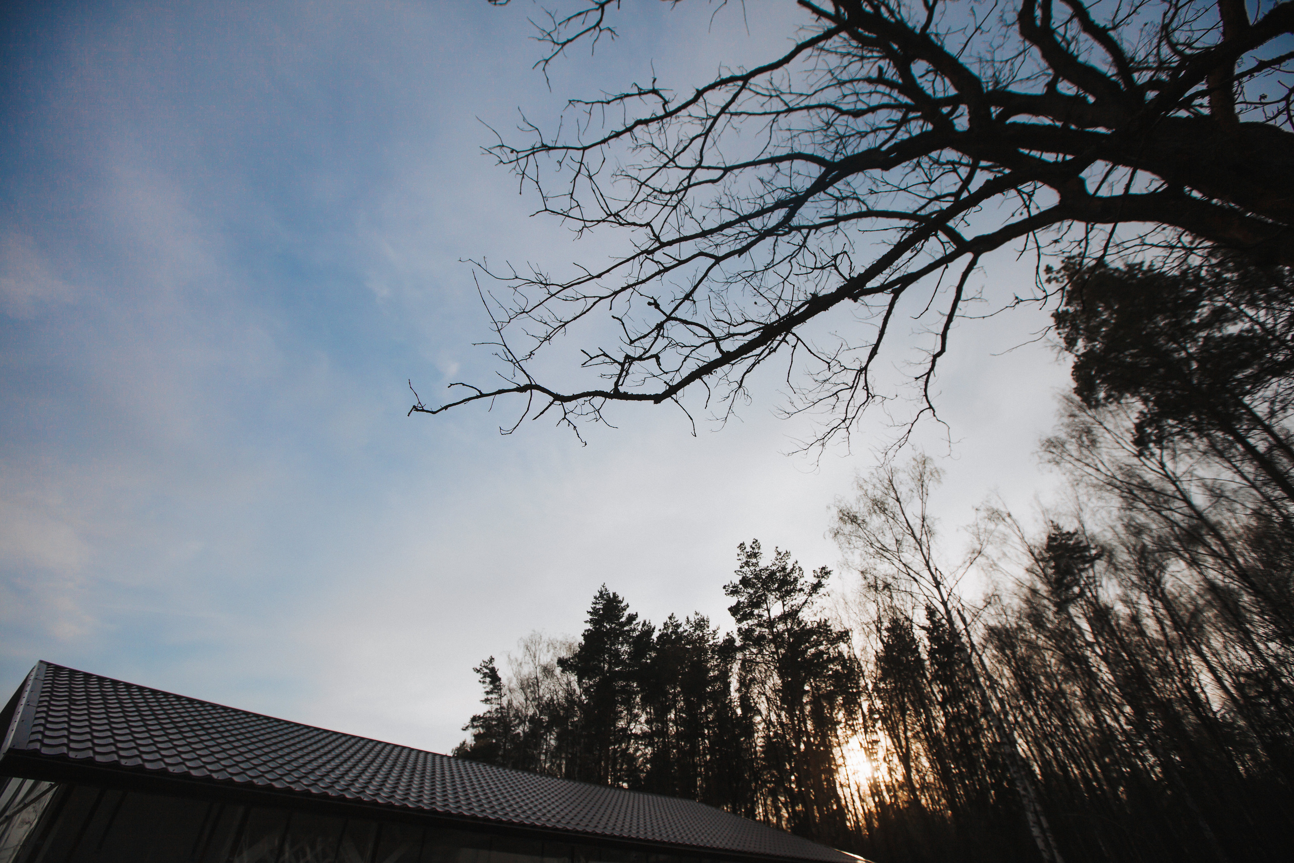 Игорь и Александра. Свадебный фотограф москва зеленоград Повольнов Василий