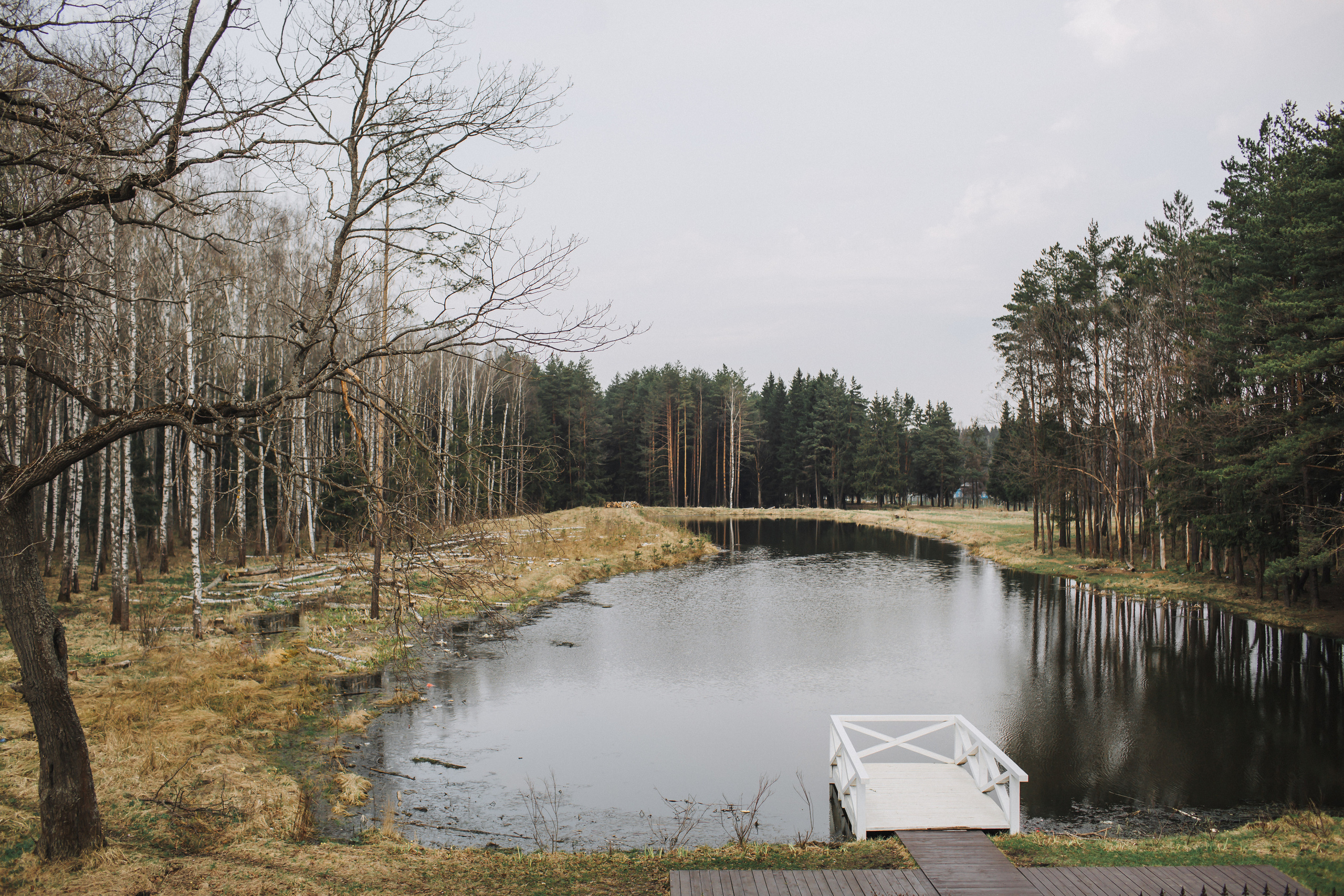 Игорь и Александра. Свадебный фотограф москва зеленоград Повольнов Василий