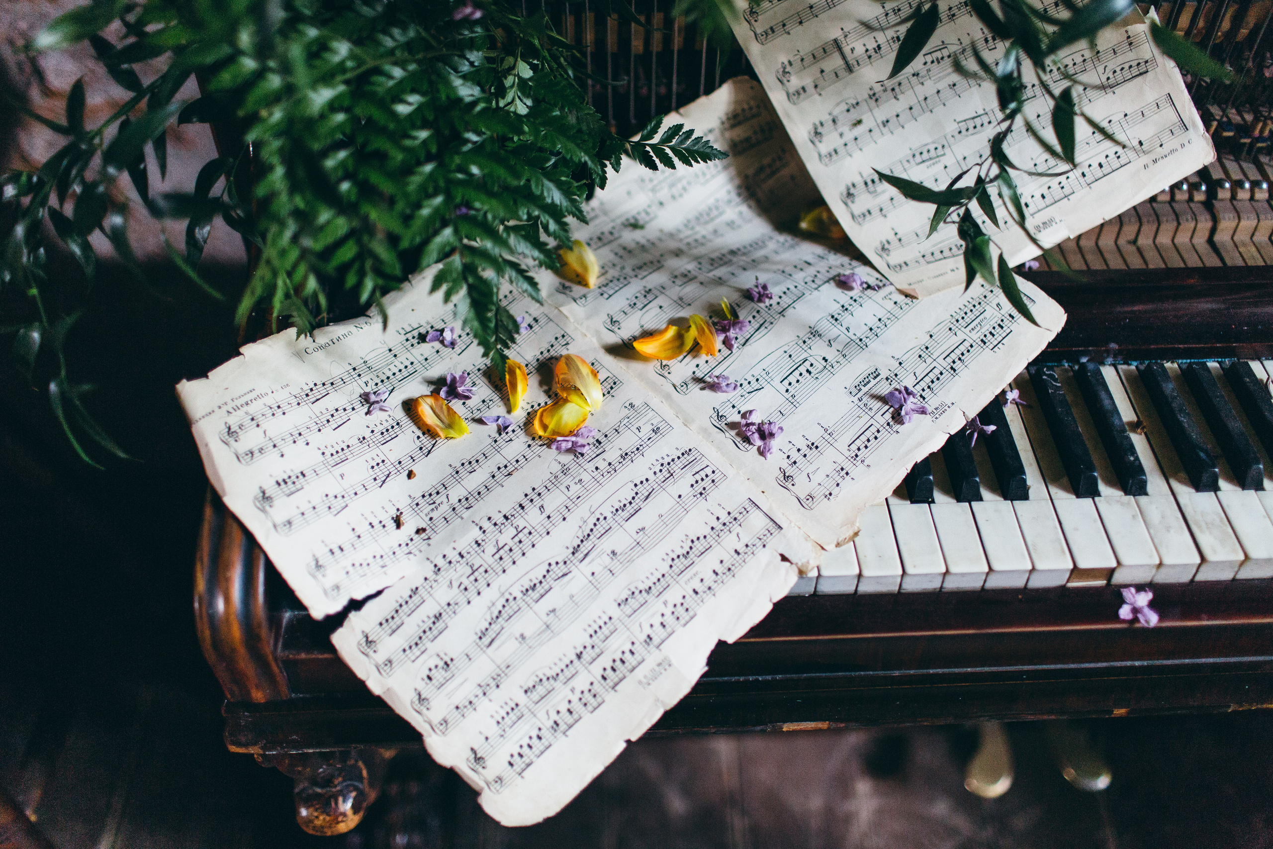 Денис и Валерия. Свадебный фотограф москва зеленоград Повольнов Василий