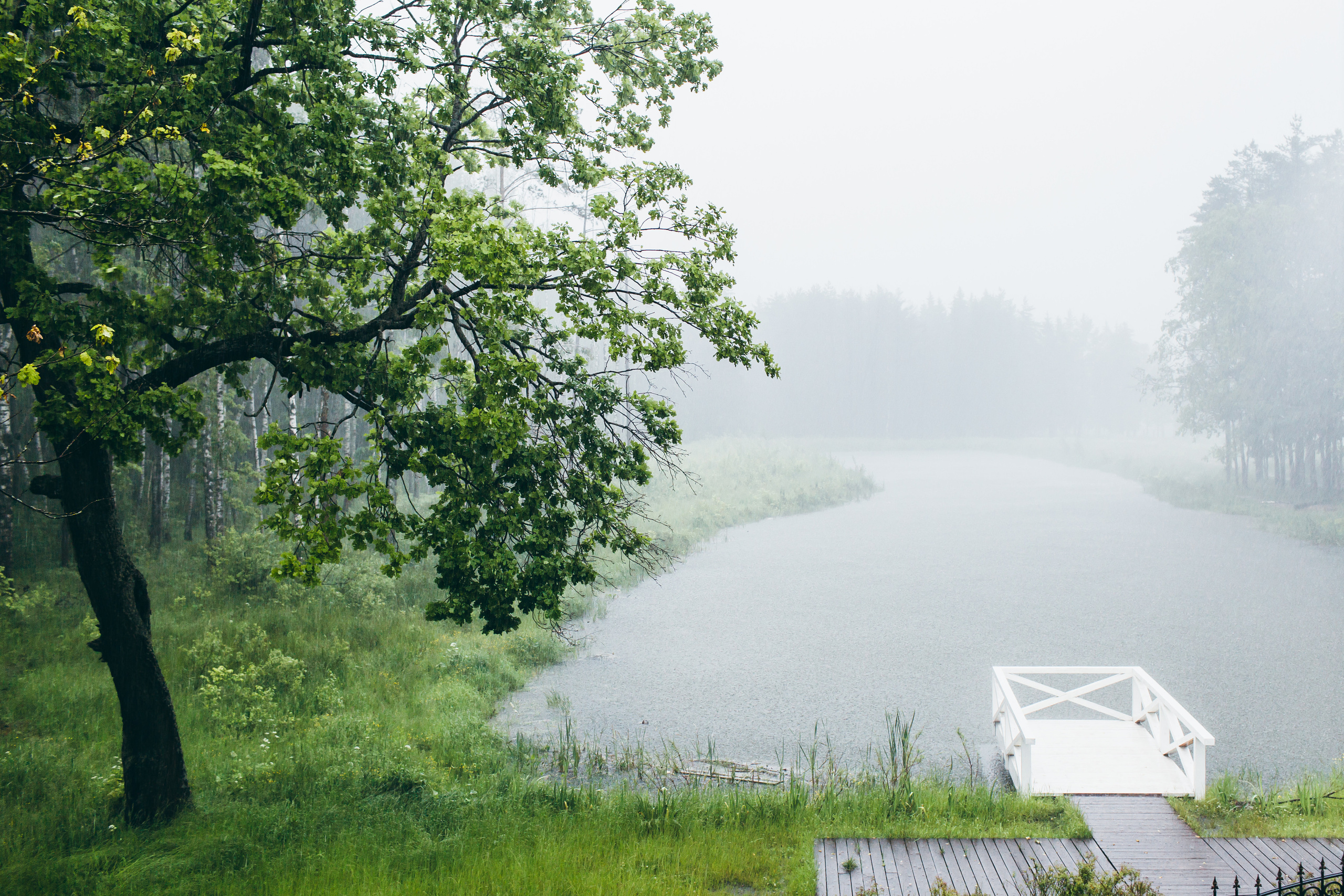 Андрей и Дарья. Свадебный фотограф москва зеленоград Повольнов Василий
