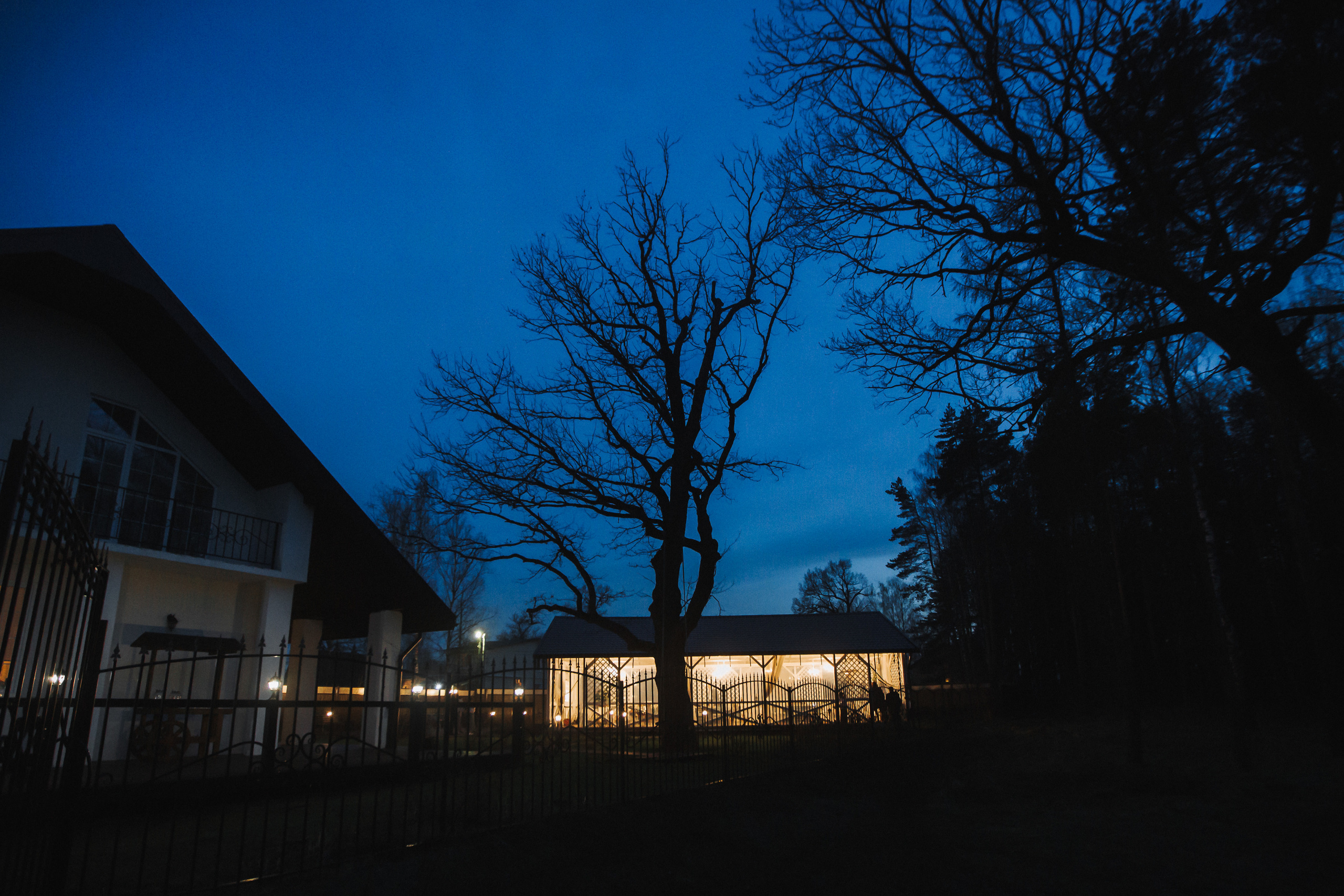 Игорь и Александра. Свадебный фотограф москва зеленоград Повольнов Василий