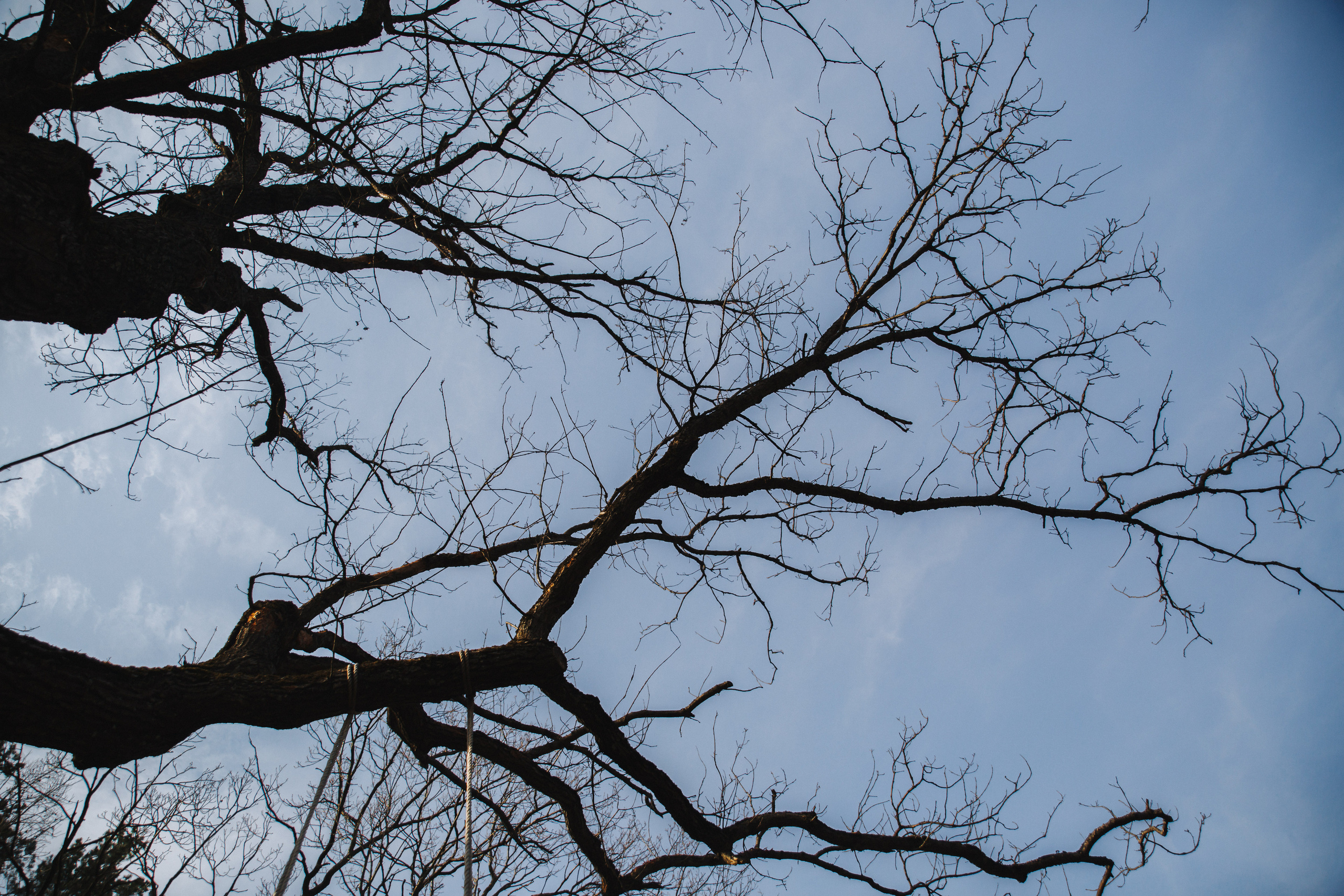 Игорь и Александра. Свадебный фотограф москва зеленоград Повольнов Василий
