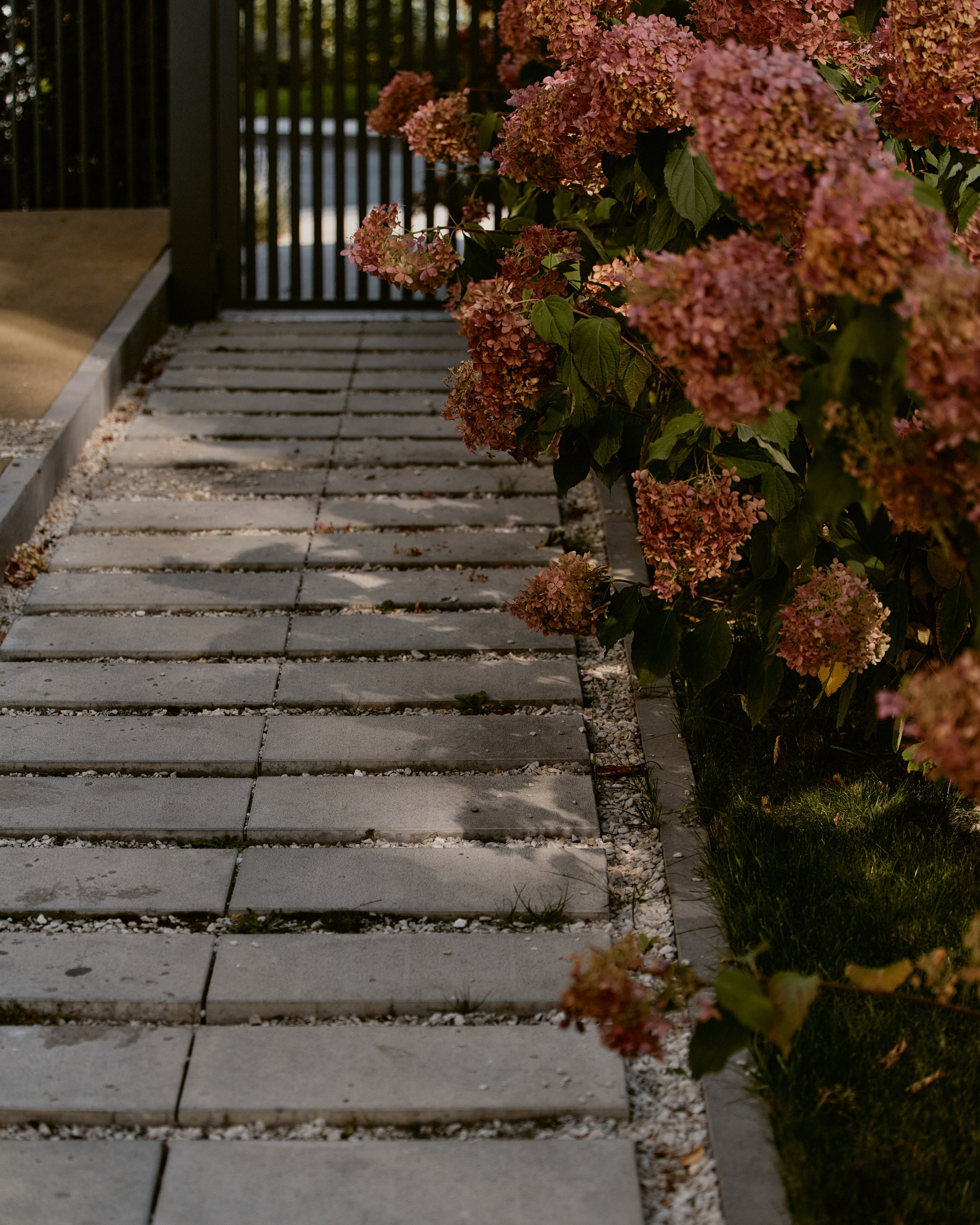CORNUS. Фотограф Москва Сергей Громов