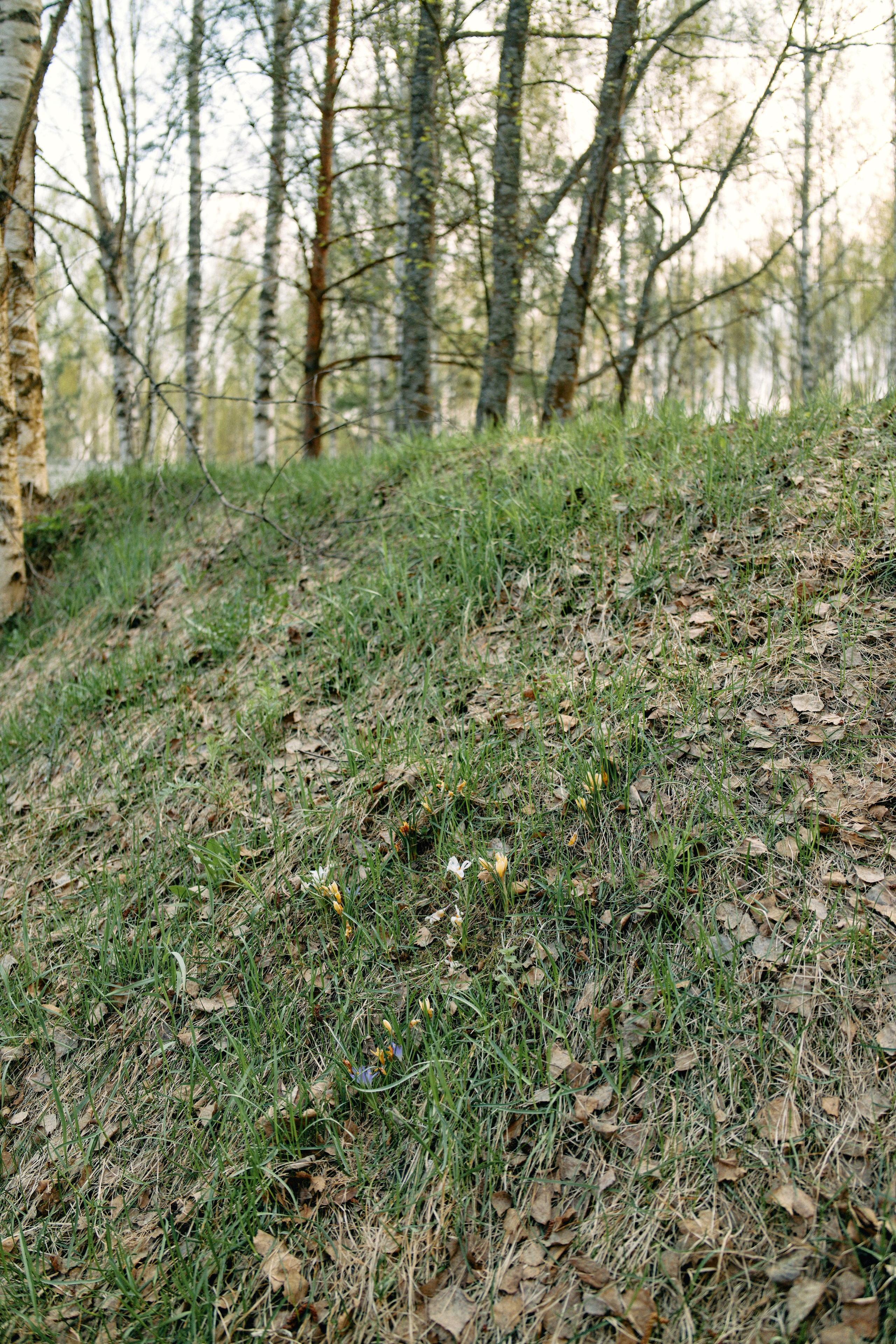 Бутик-отель Поле летом. Профессиональный Фотограф во Владимире, в Москве и в Суздале — Полина Романычева