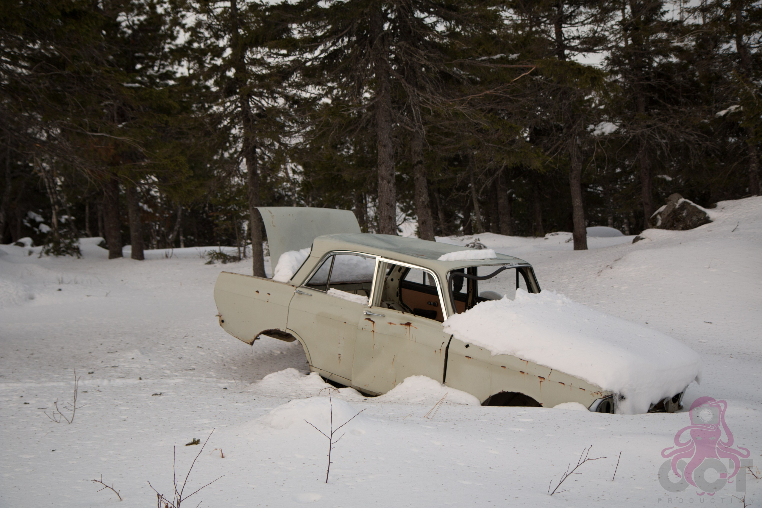 Буддистский монастырь Шад Тчуп Линг. Предметный и репортажный фотограф Алексей Кротов