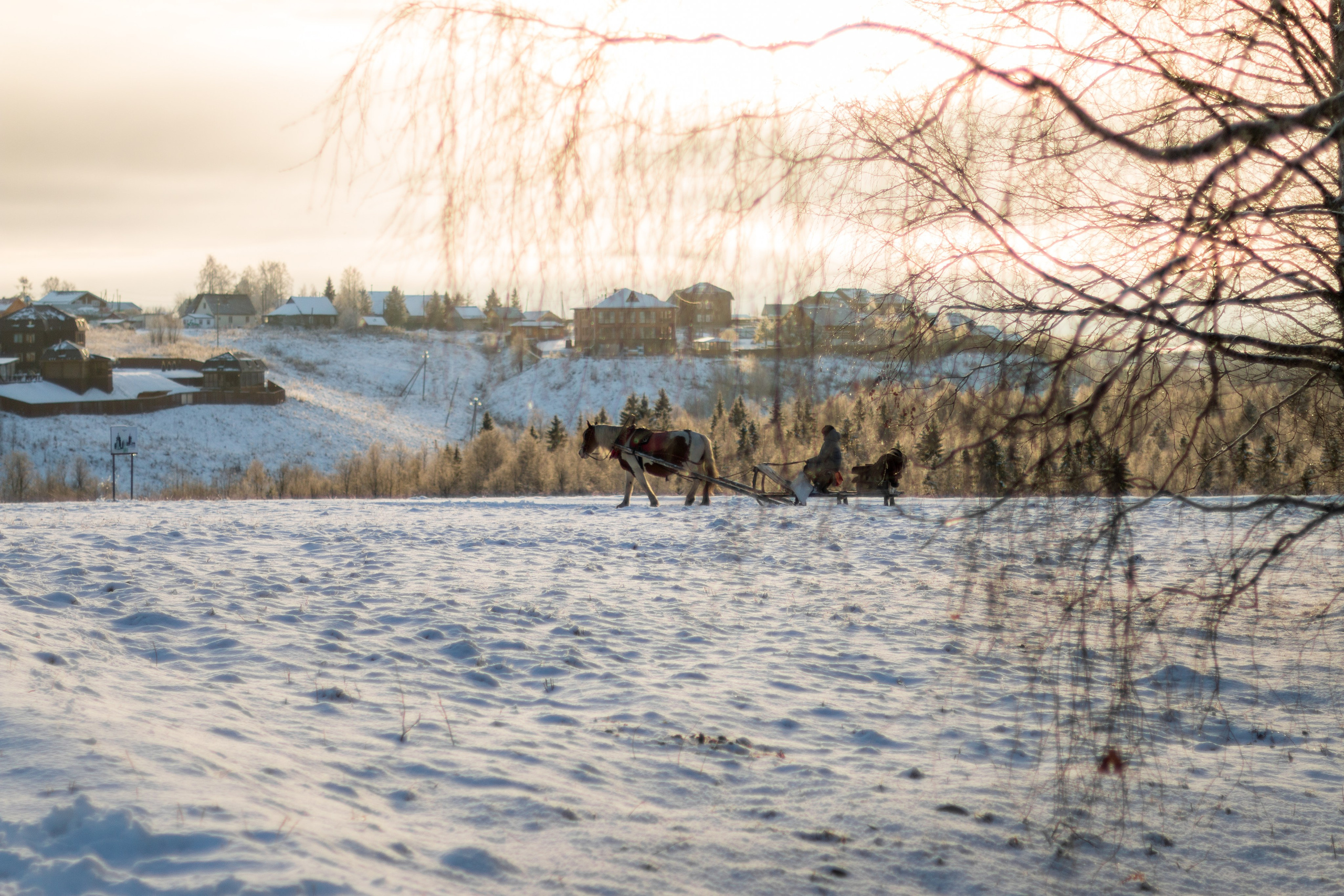 Русский Север, Малые карелы. Фотограф в Сочи