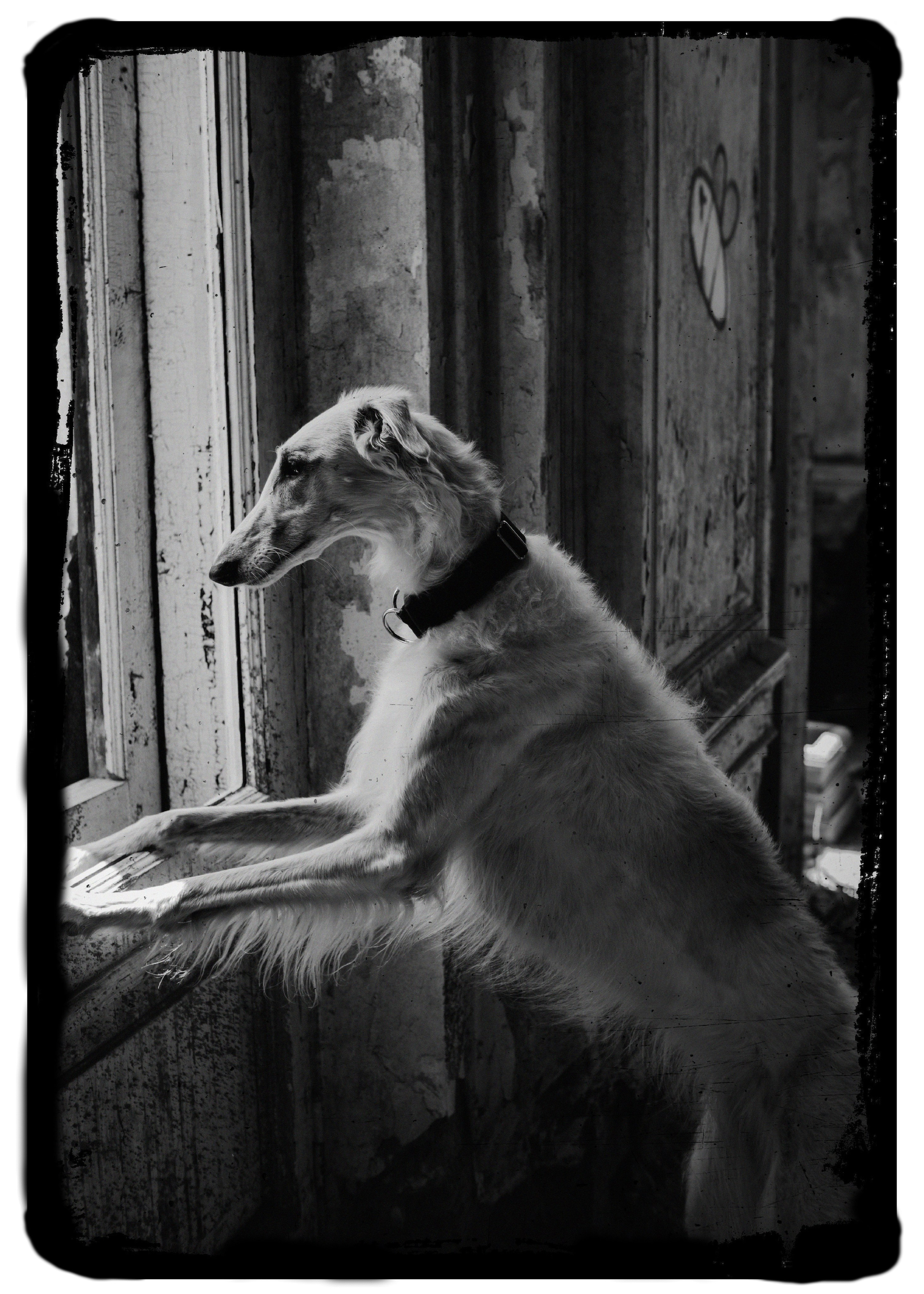 Отзывы. Фотограф в Санкт-Петербурге Павел Жуков