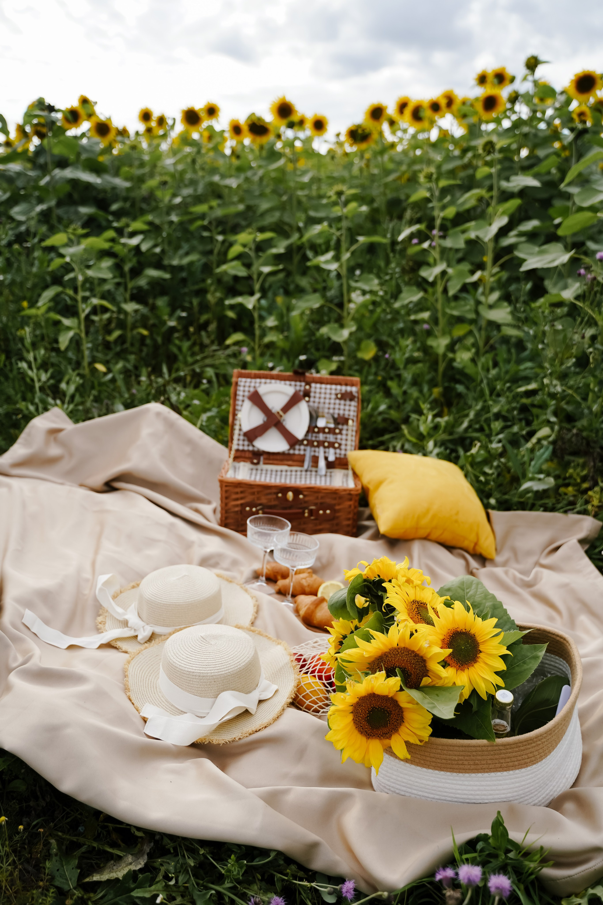 Подсолнухи. Бирск