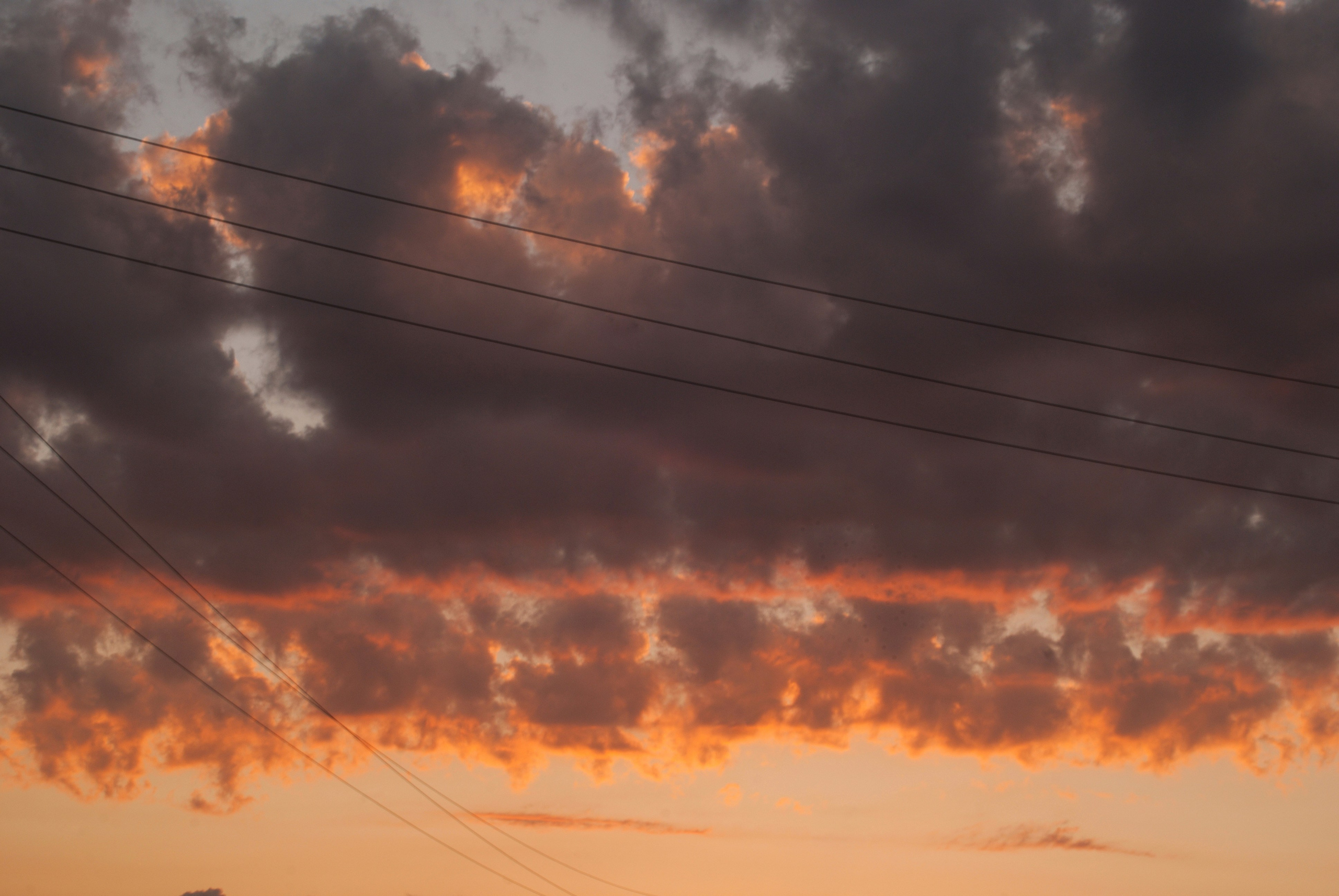 Этот прекрасный мир