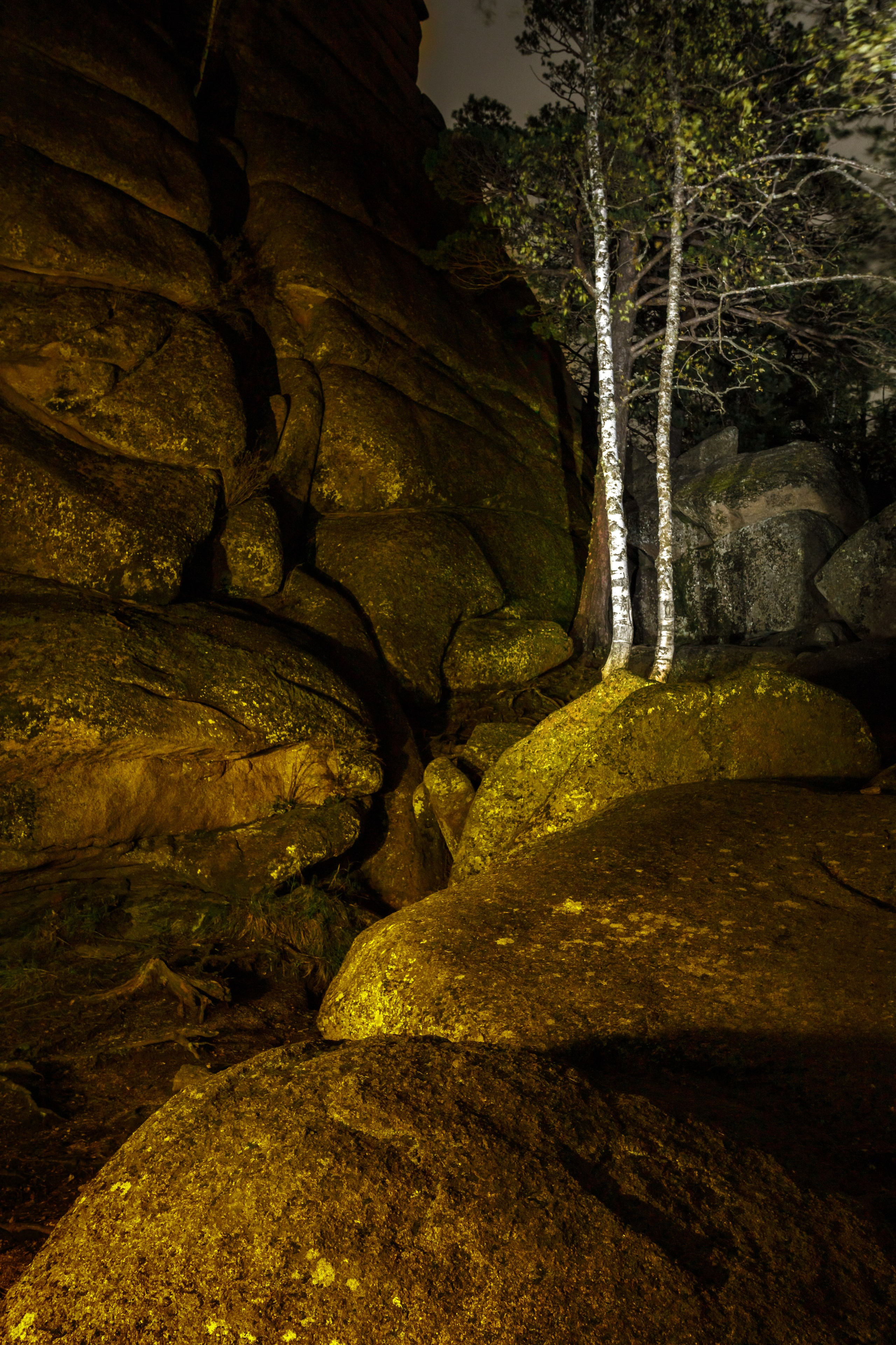 Серия «Нарисованные „Столбы“». Фотограф в Москве Татьяна Макотра