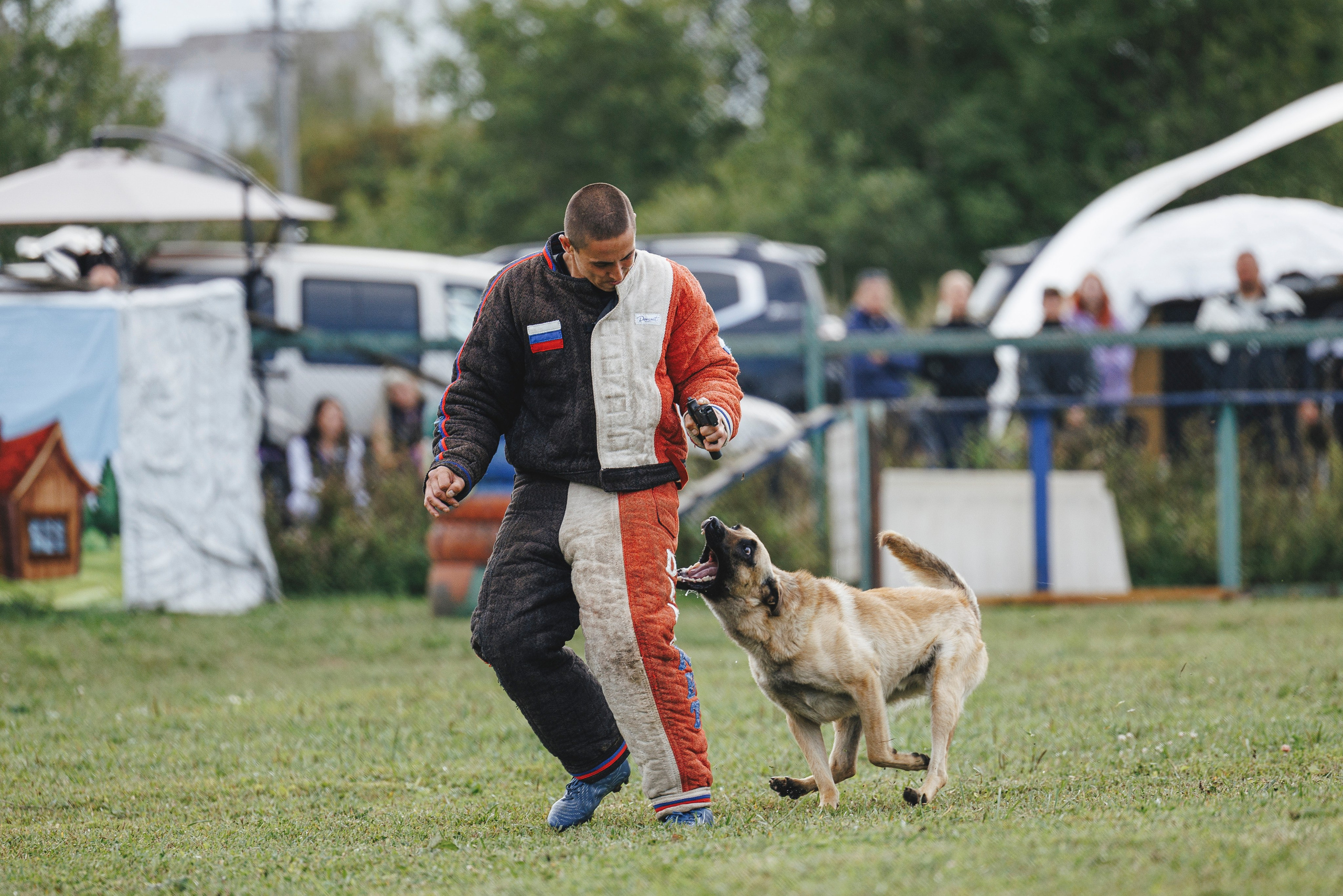 08.08.25-10.08.25 ЧР по мондьорингу г. Вологда. Фотограф-анималист Анна Маринич